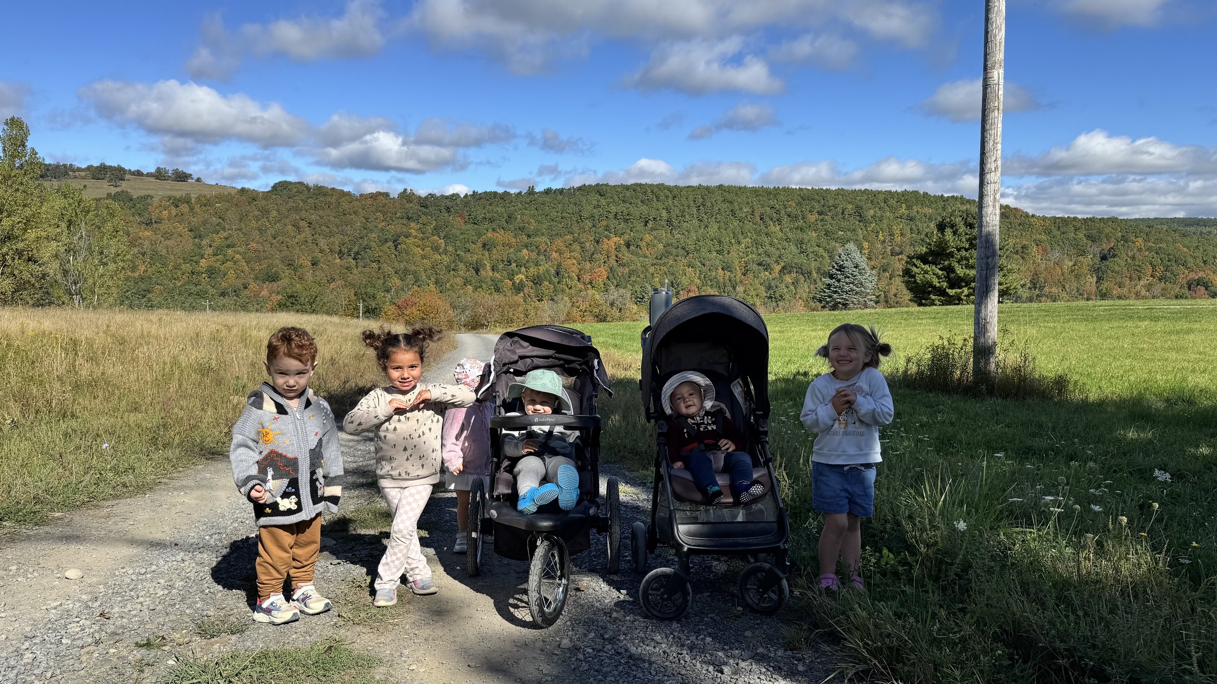 Group of five children outdoors on a rural dirt path, with two strollers and a scenic background of trees, rolling hills, and a blue sky with clouds.