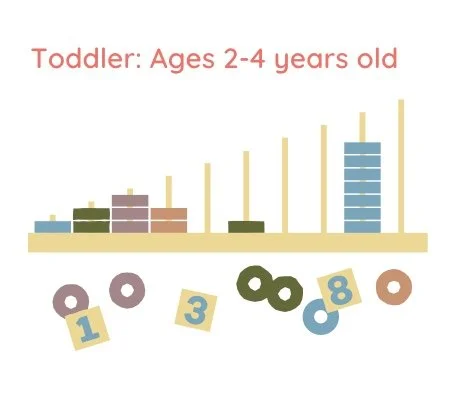 Bar chart displaying data for toddlers aged 2-4 years old, with colored blocks labeled with numbers and circular toys below.