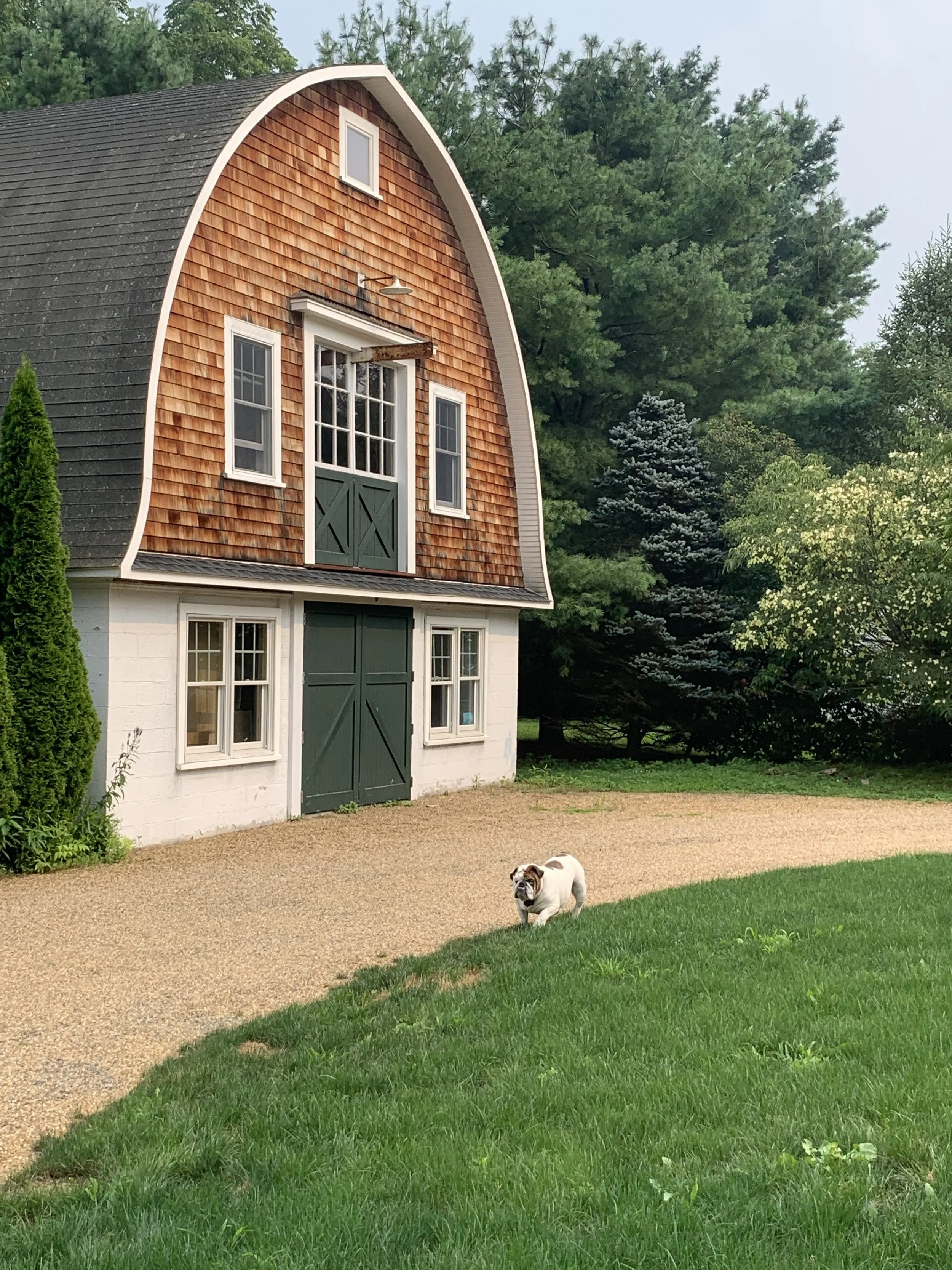 A rural scene featuring a barn with a white lower section, green sliding door, and upper section with wooden shingles. A pathway leads to the barn, with a small bulldog standing on the grass nearby. Surrounding trees are lush and green.