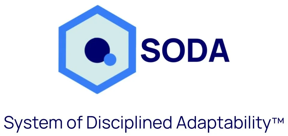SYSTEM OF DISCIPLINED ADAPTABILITY
