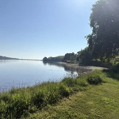 Sunlit shoreline with grassy area and trees along a calm body of water under a clear blue sky.