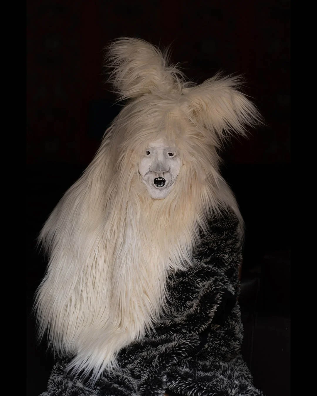 Halloween-5013 lores.jpg