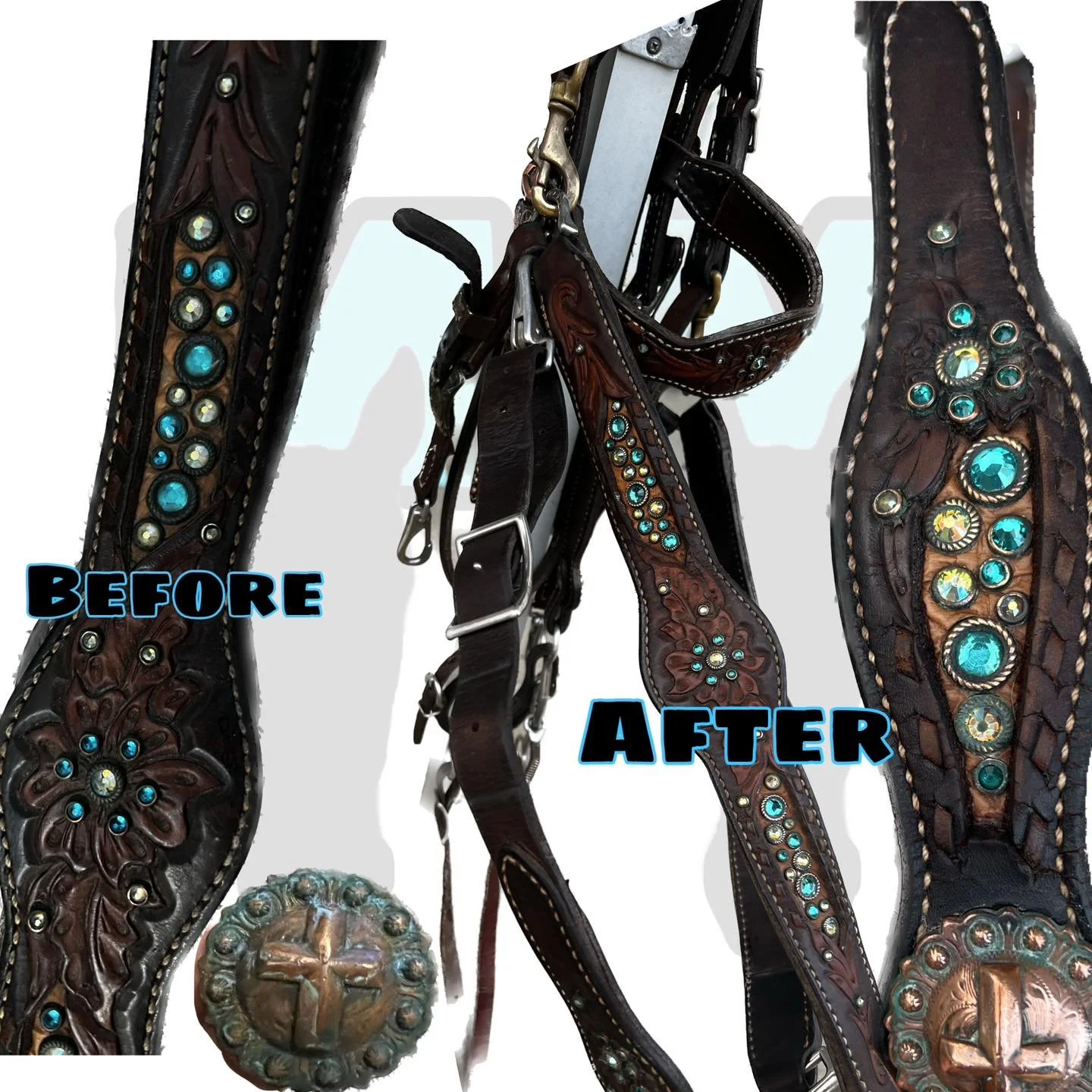 beforeafterbridleset.jpg