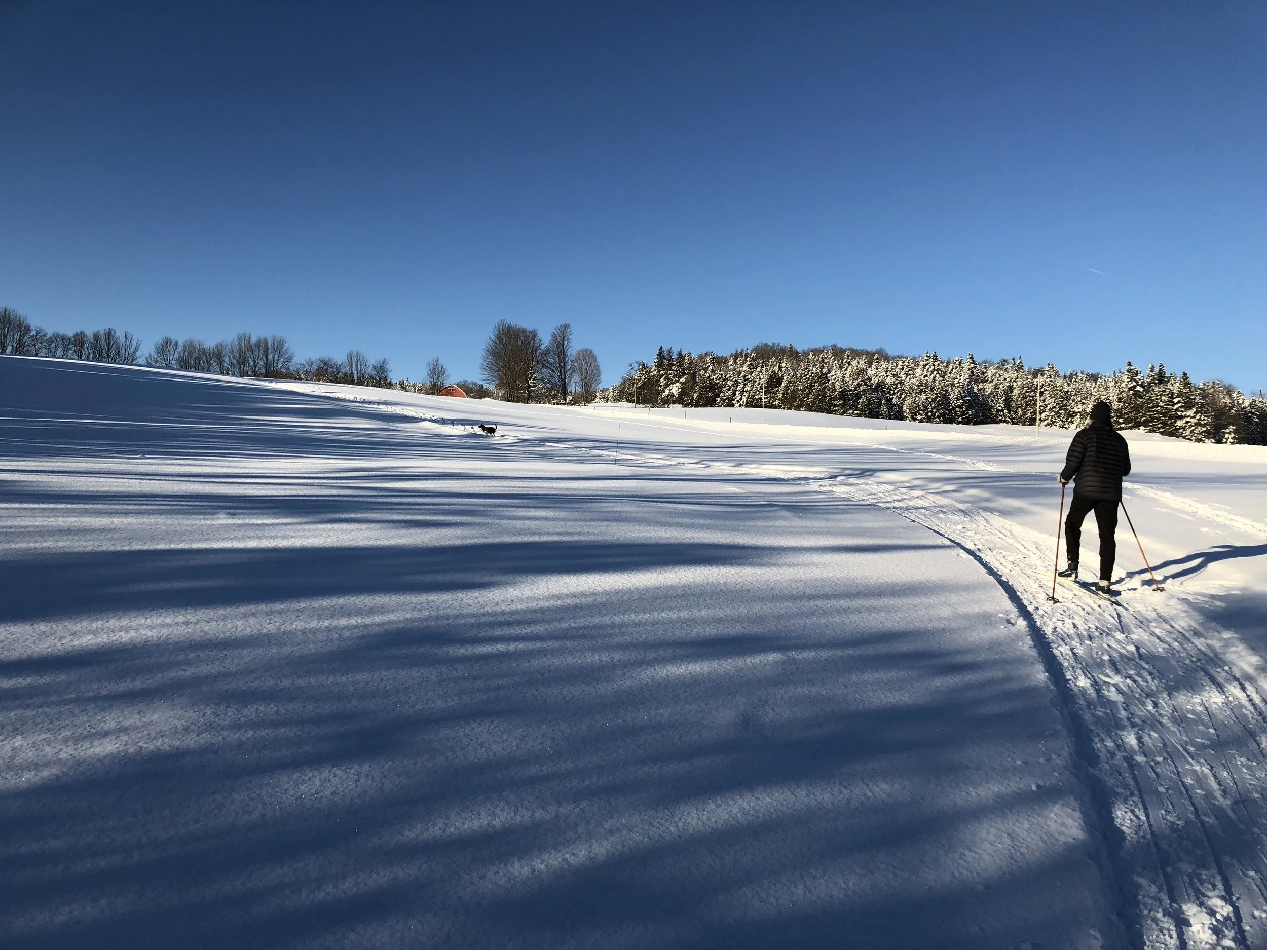 2026 Tour de Greensboro Cancelled