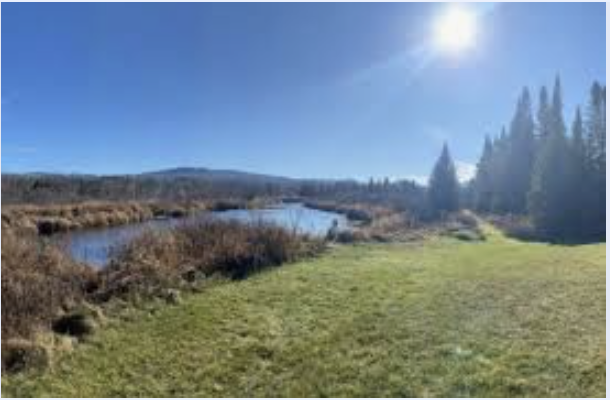 A scenic landscape with a grassy field, a winding river, trees in the background, and a clear blue sky with the sun shining.