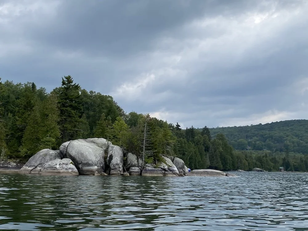Four people standing outdoors, engaged in conversation, with trees and a gravel path behind them.