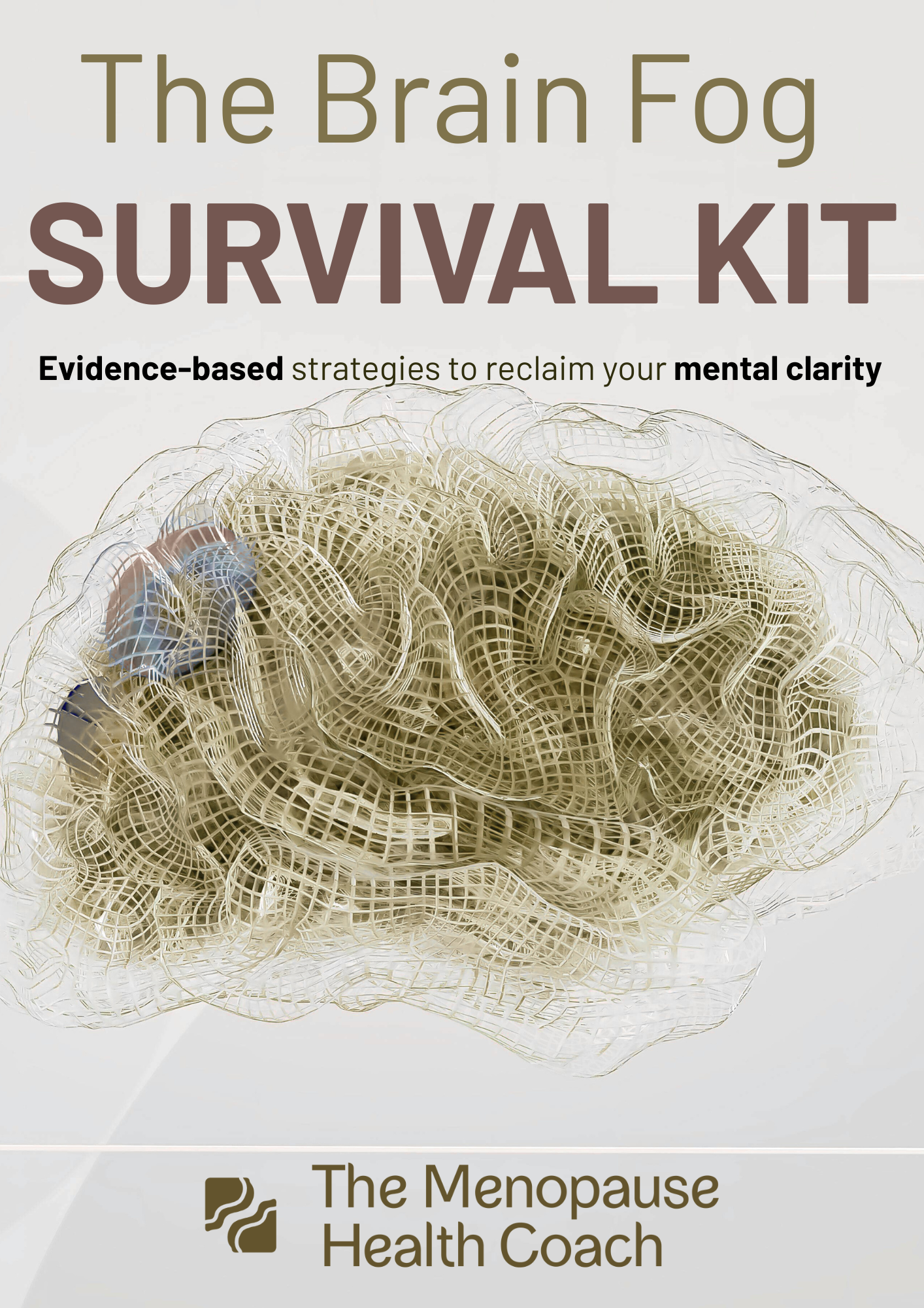 Brain Fog Survival Kit