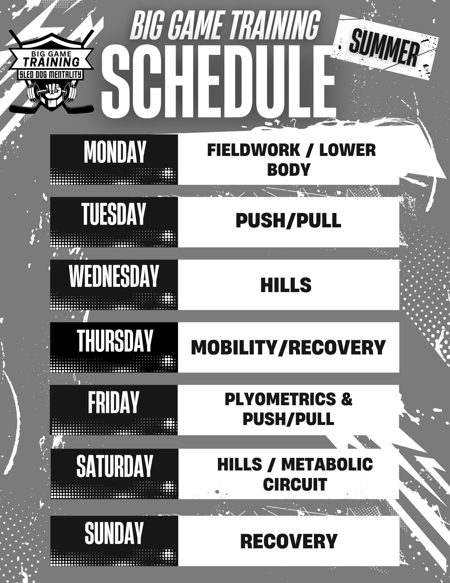 Summer Hockey Training — ENDURANCE KINESIOLOGY