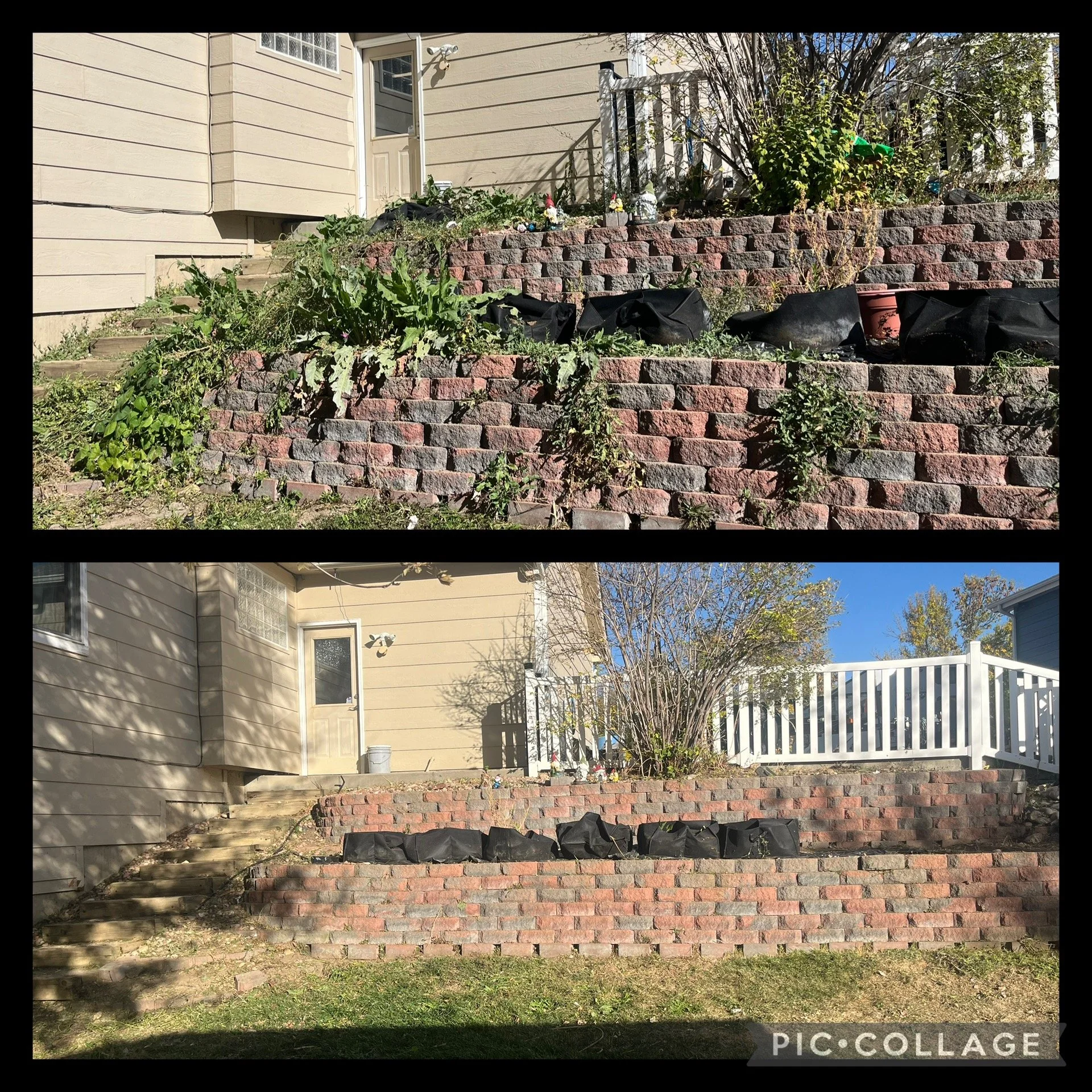 Seasonal yard cleanup by Whipper Snapper Lawn Care in Johnstown CO