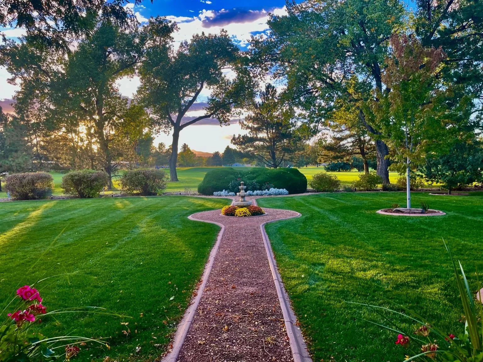 Lawn mowing and maintenance project by Whipper Snapper Lawn Care in Loveland CO
