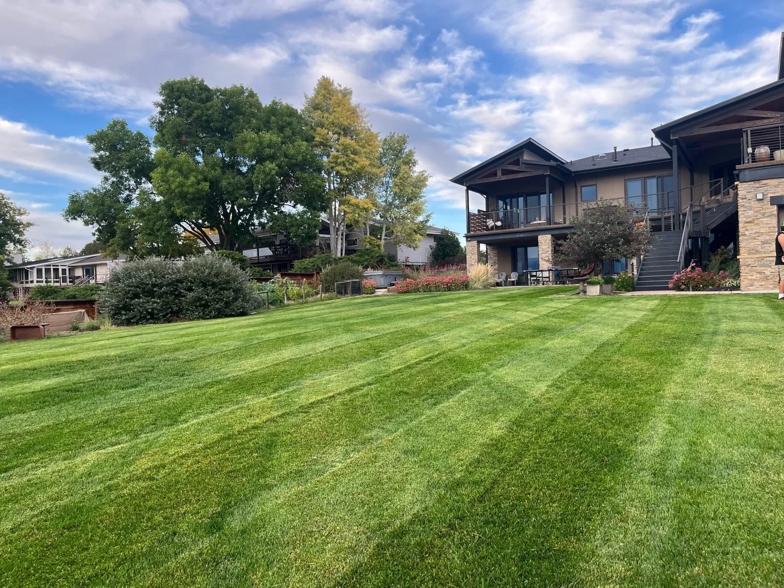 Lawn mowing and maintenance project by Whipper Snapper Lawn Care in Johnstown CO