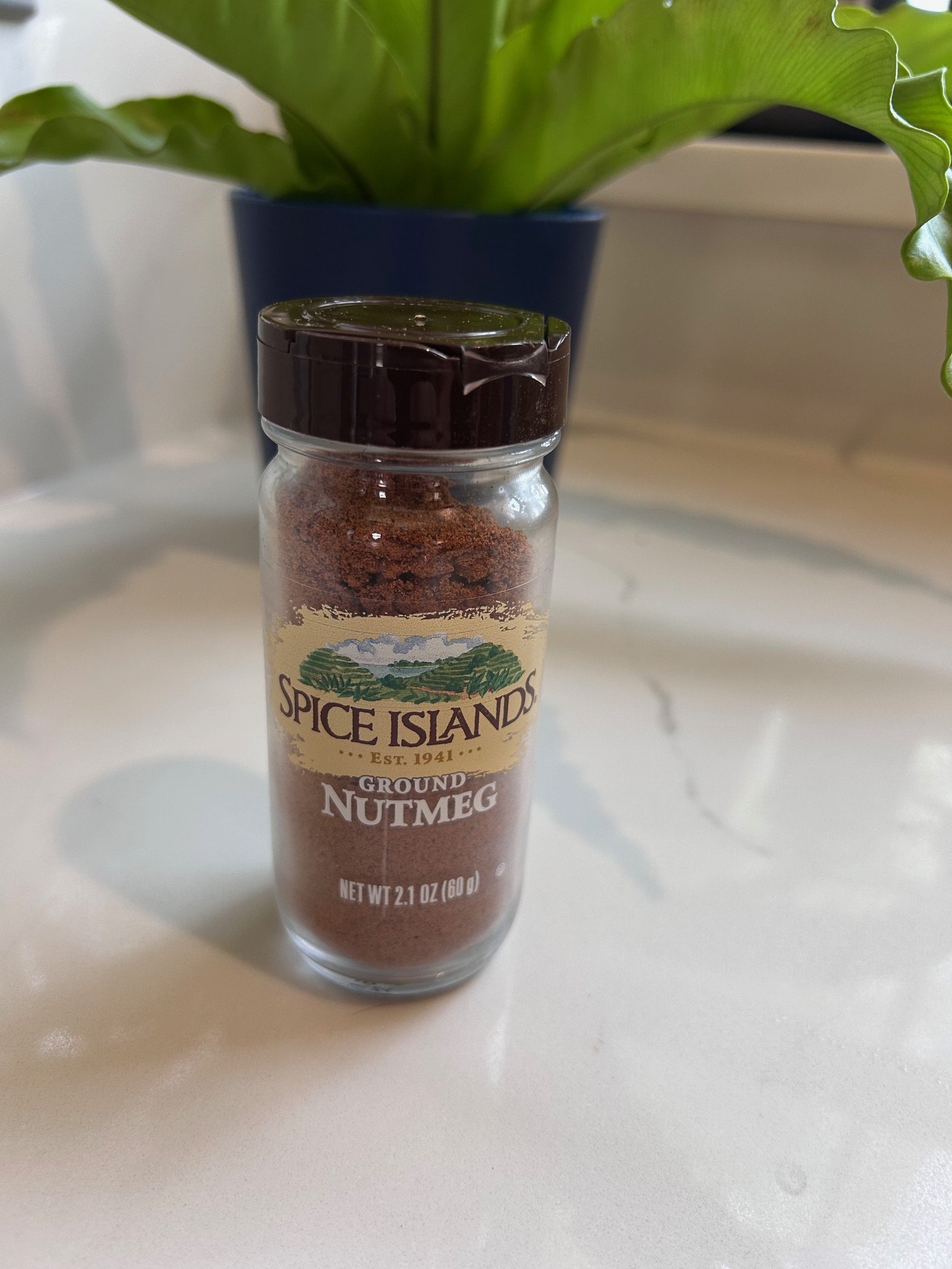 nutmeg.jpg