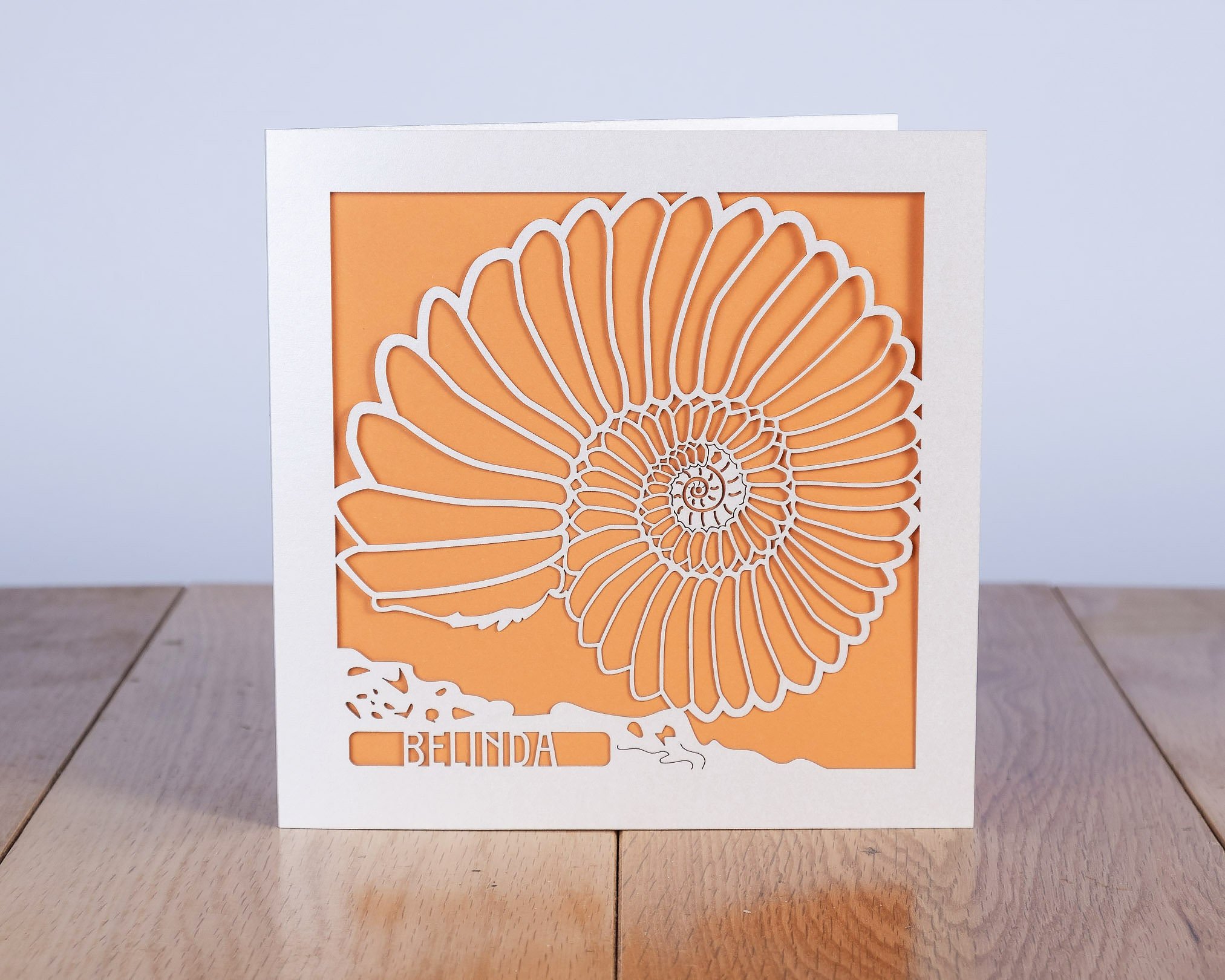 https://i.etsystatic.com/16413144/r/il/1d8920/6000702298/il_fullxfull.6000702298_sco7.jpg