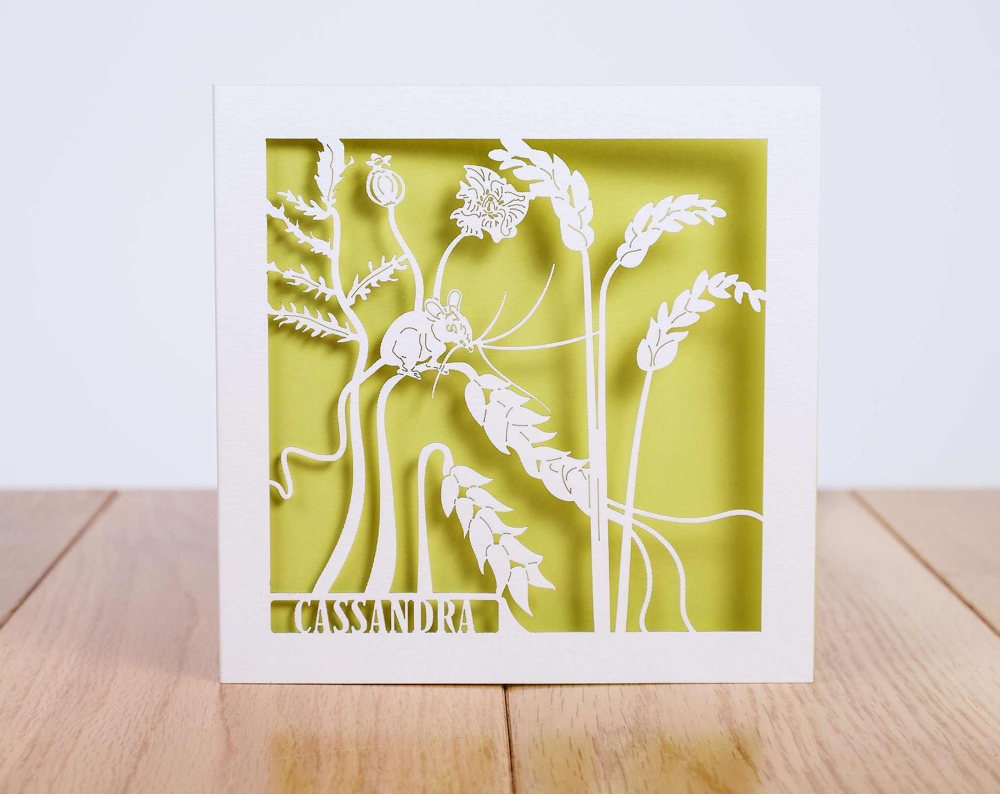 https://i.etsystatic.com/16413144/r/il/3a7311/2301408061/il_fullxfull.2301408061_mfhe.jpg