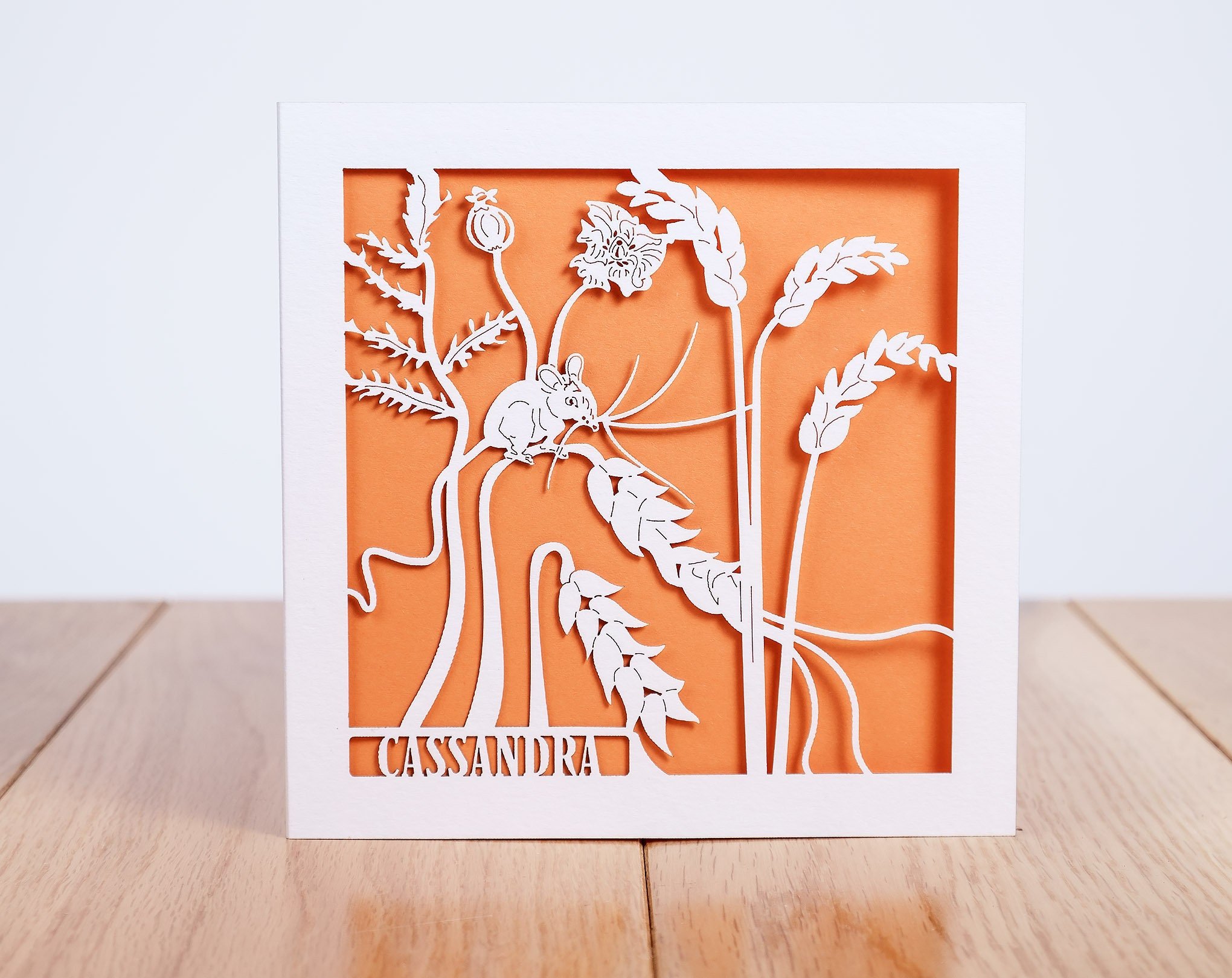 https://i.etsystatic.com/16413144/r/il/31f320/2301408063/il_fullxfull.2301408063_cgks.jpg