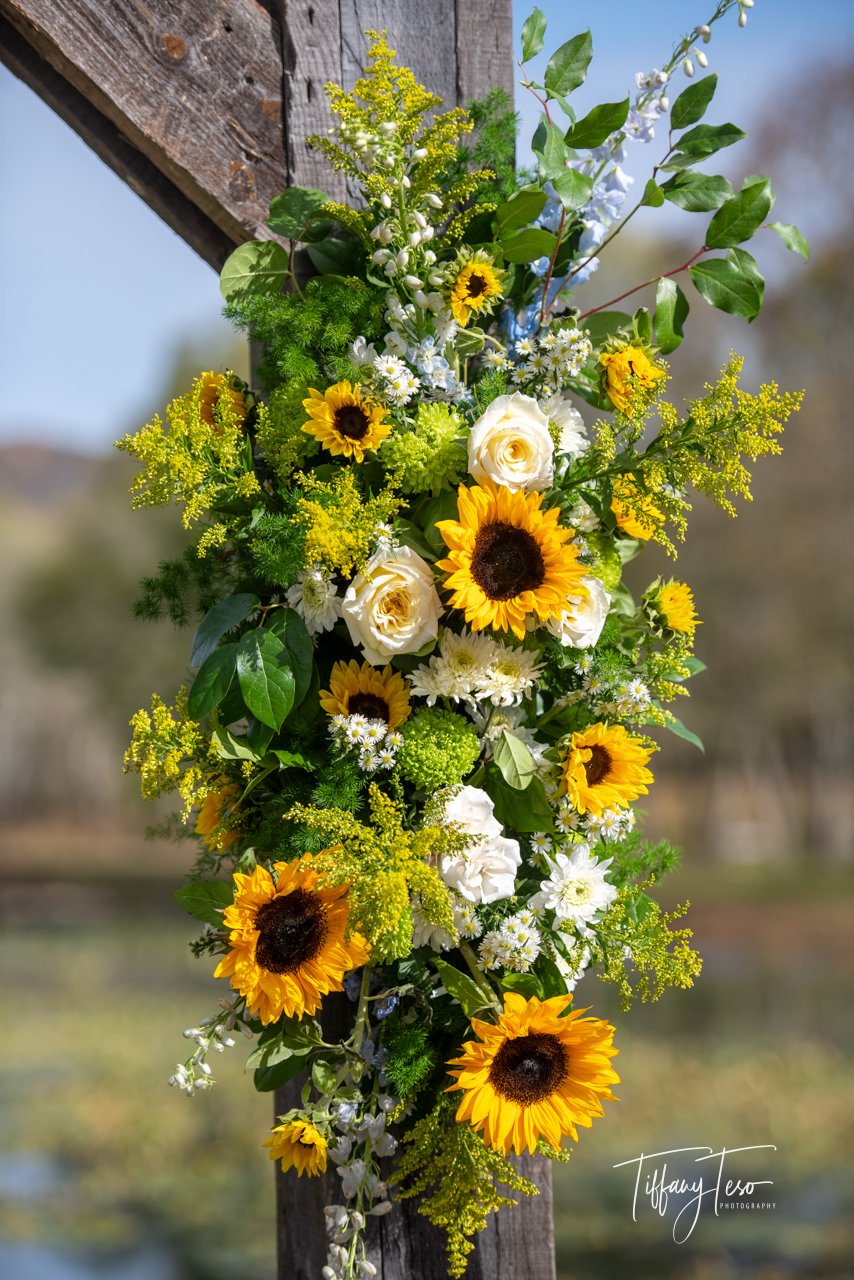 C&J Color Web-7632.jpg