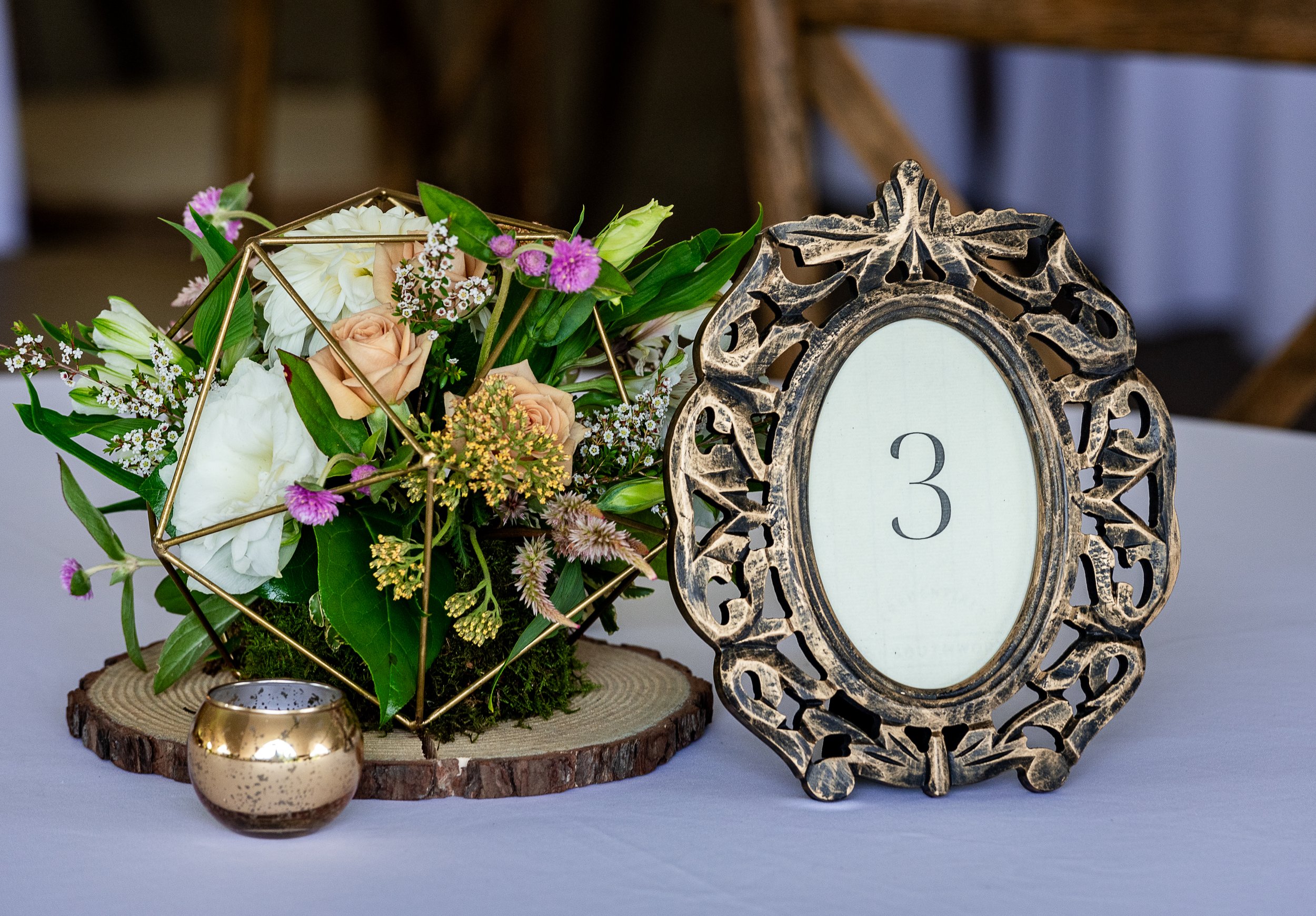 Photos her  up are by Jesse Kitt Photography