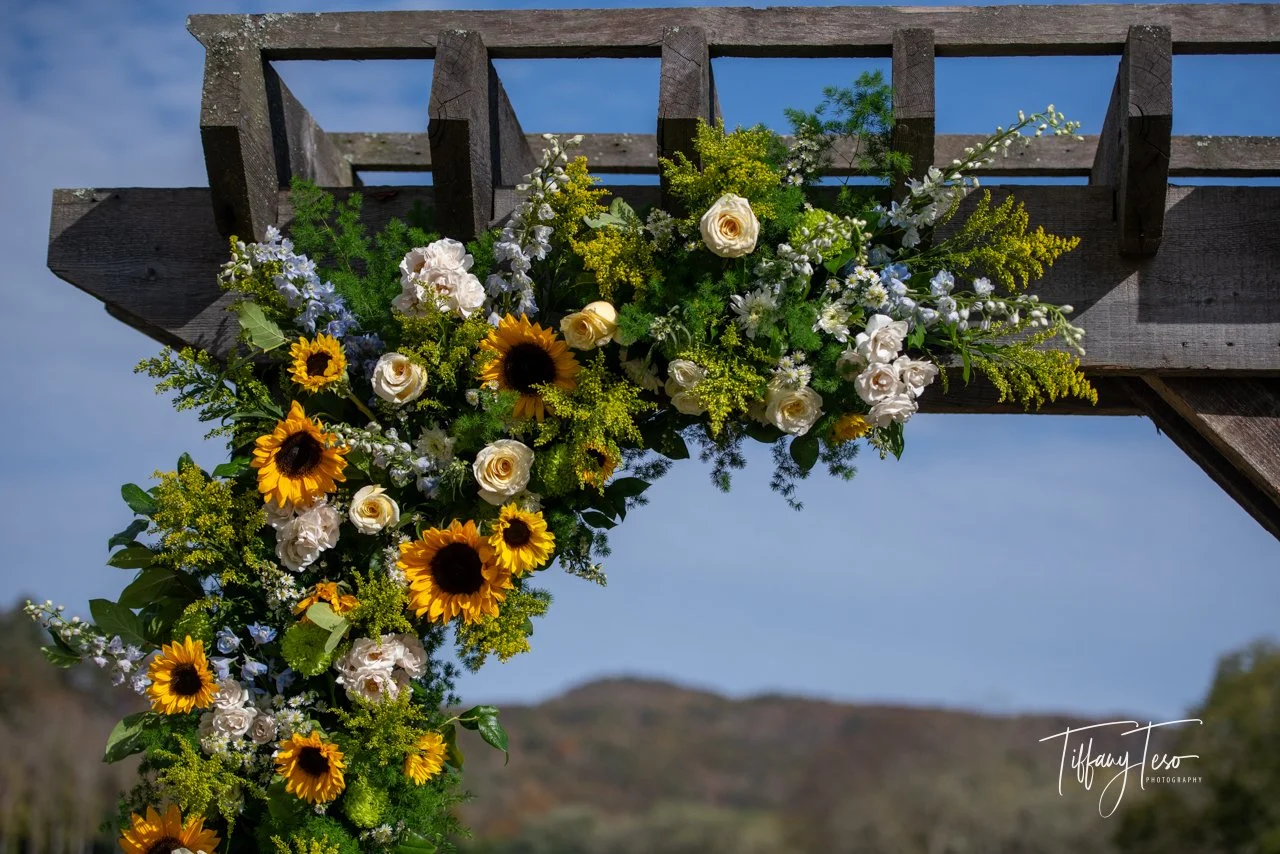 C&J Color Web-7633.jpg