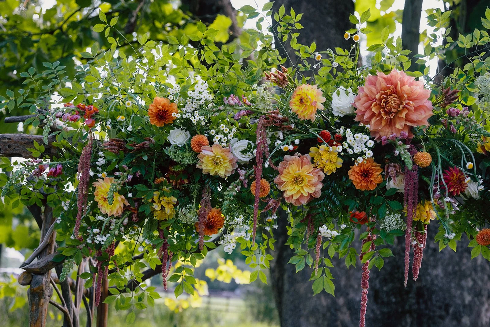 Photos here up are by Jesse Kitt Photography