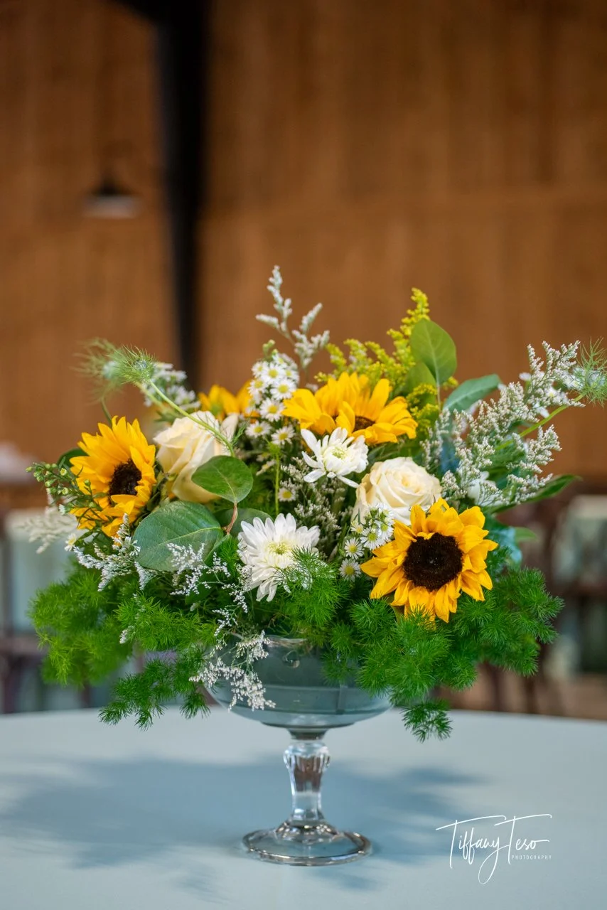 C&J Color Web-8100.jpg