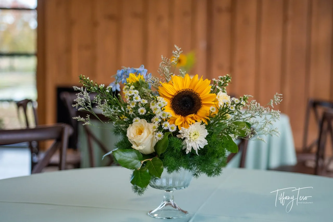 C&J Color Web-8097.jpg