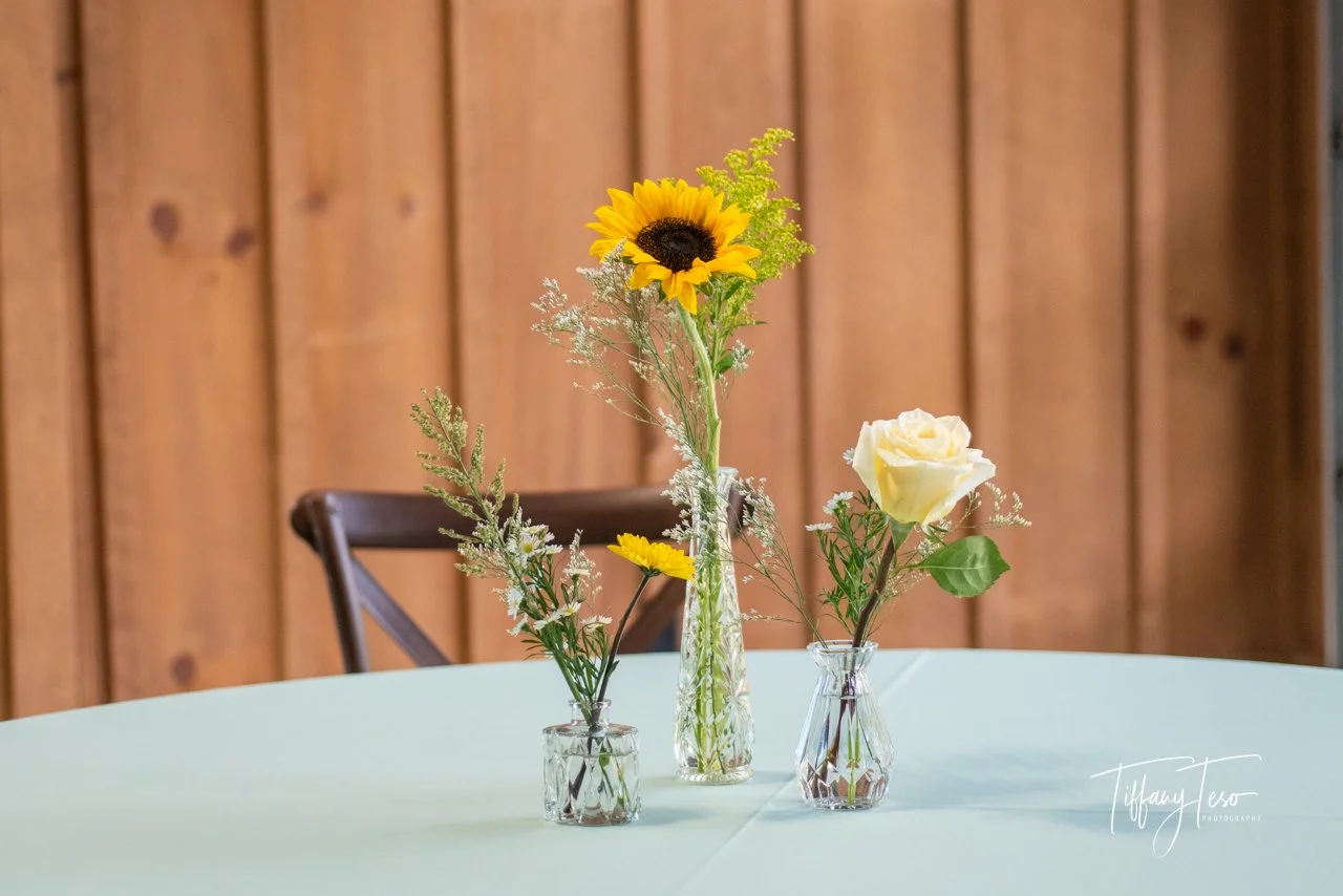 C&J Color Web-8099.jpg