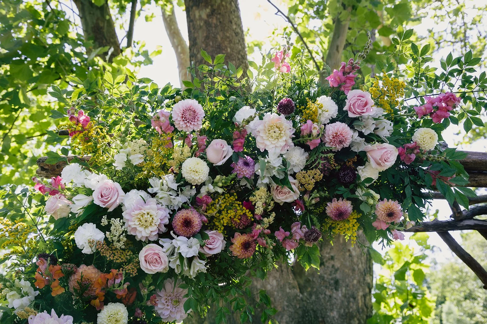 Brooke + Collin 062424-468_websize.jpg