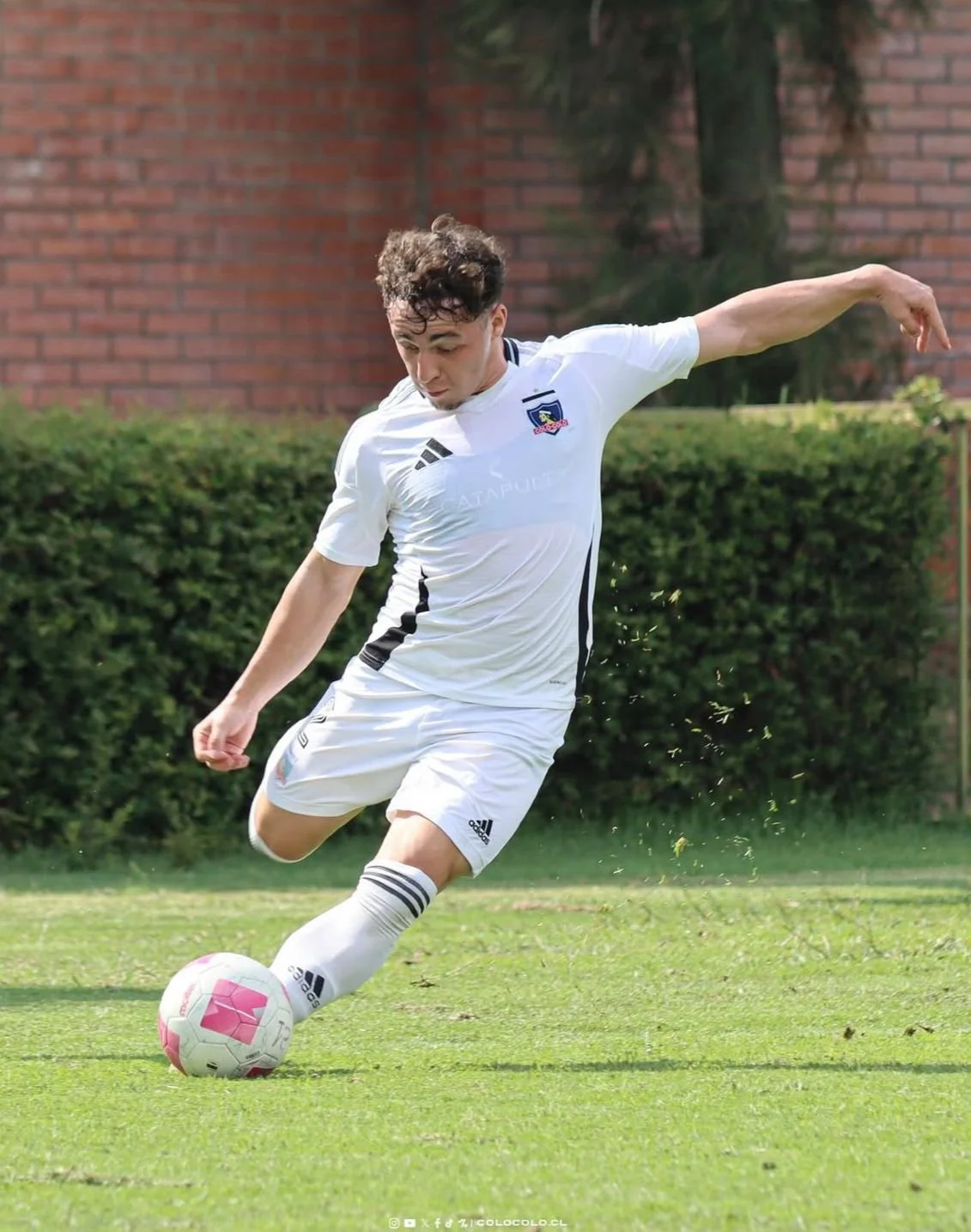 el año de la conquista