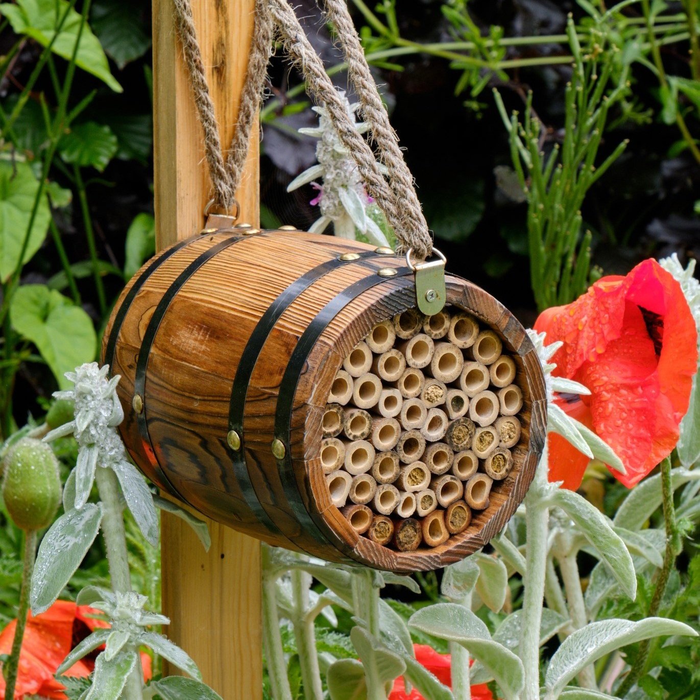 Bee+Barrel_2019_08.jpg