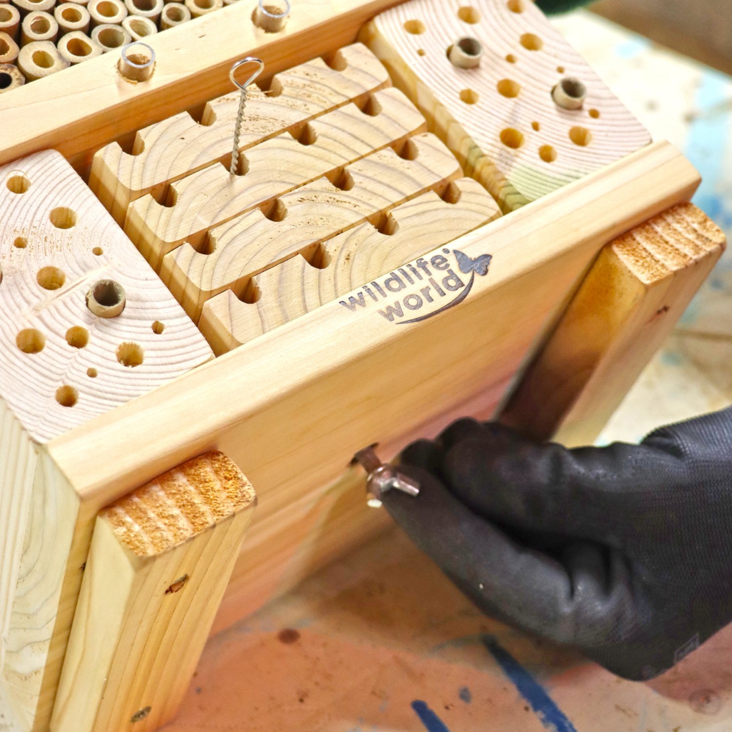 NR_CITSBEE_WEBBED IMAGE 8-100.jpg