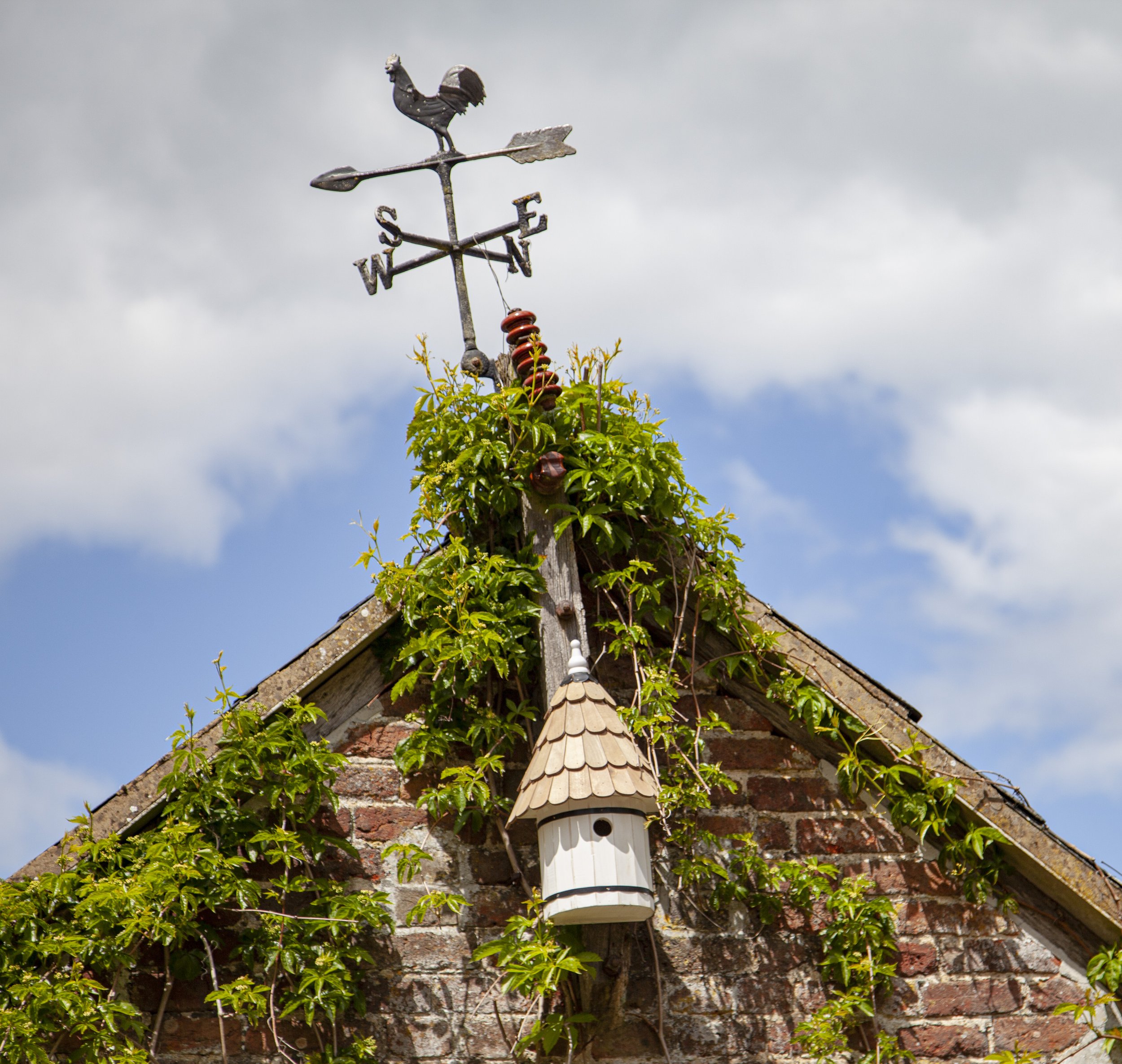 Dovecote_9642.jpg