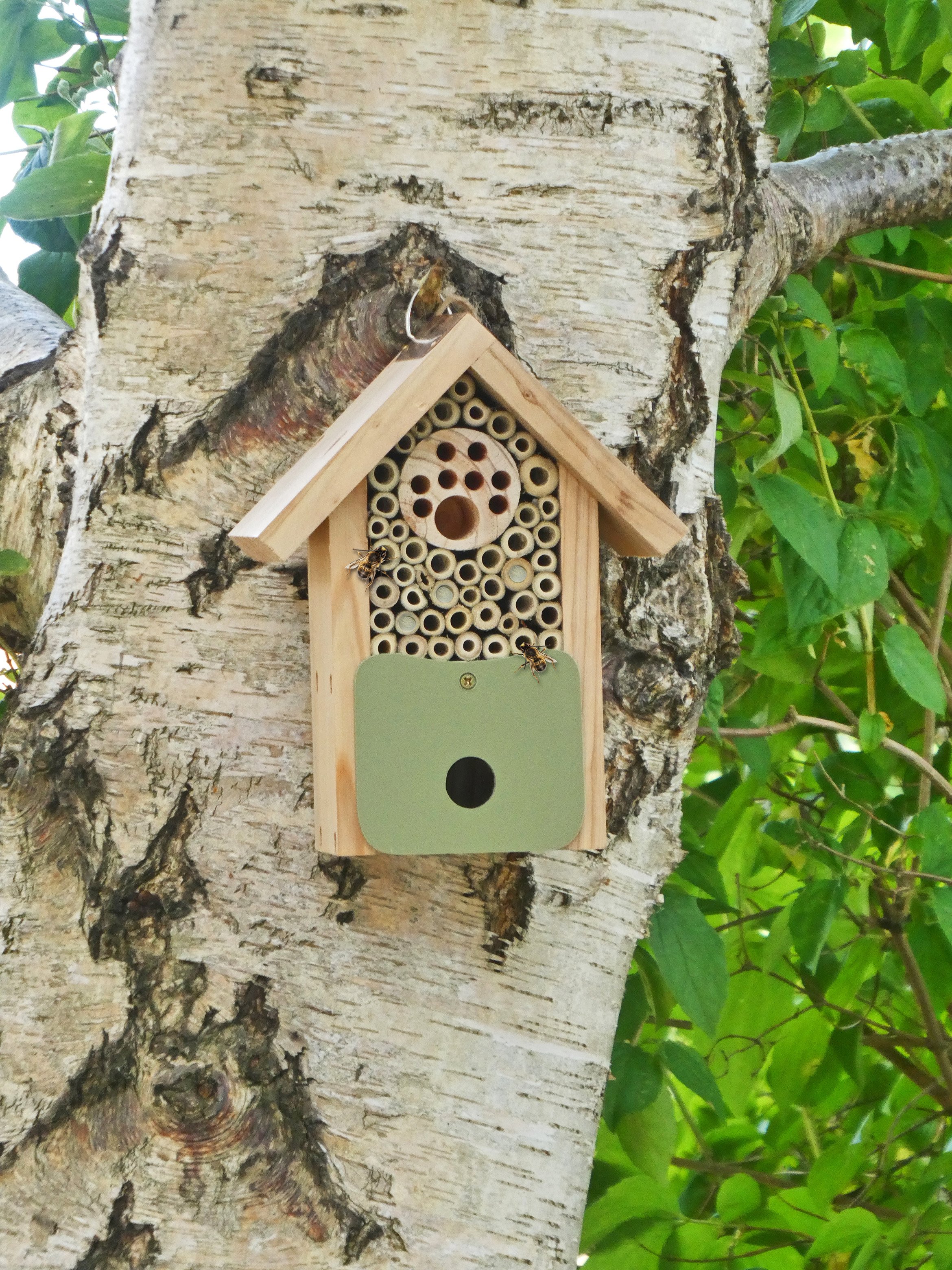 Bee Barn with solitary bees.jpg