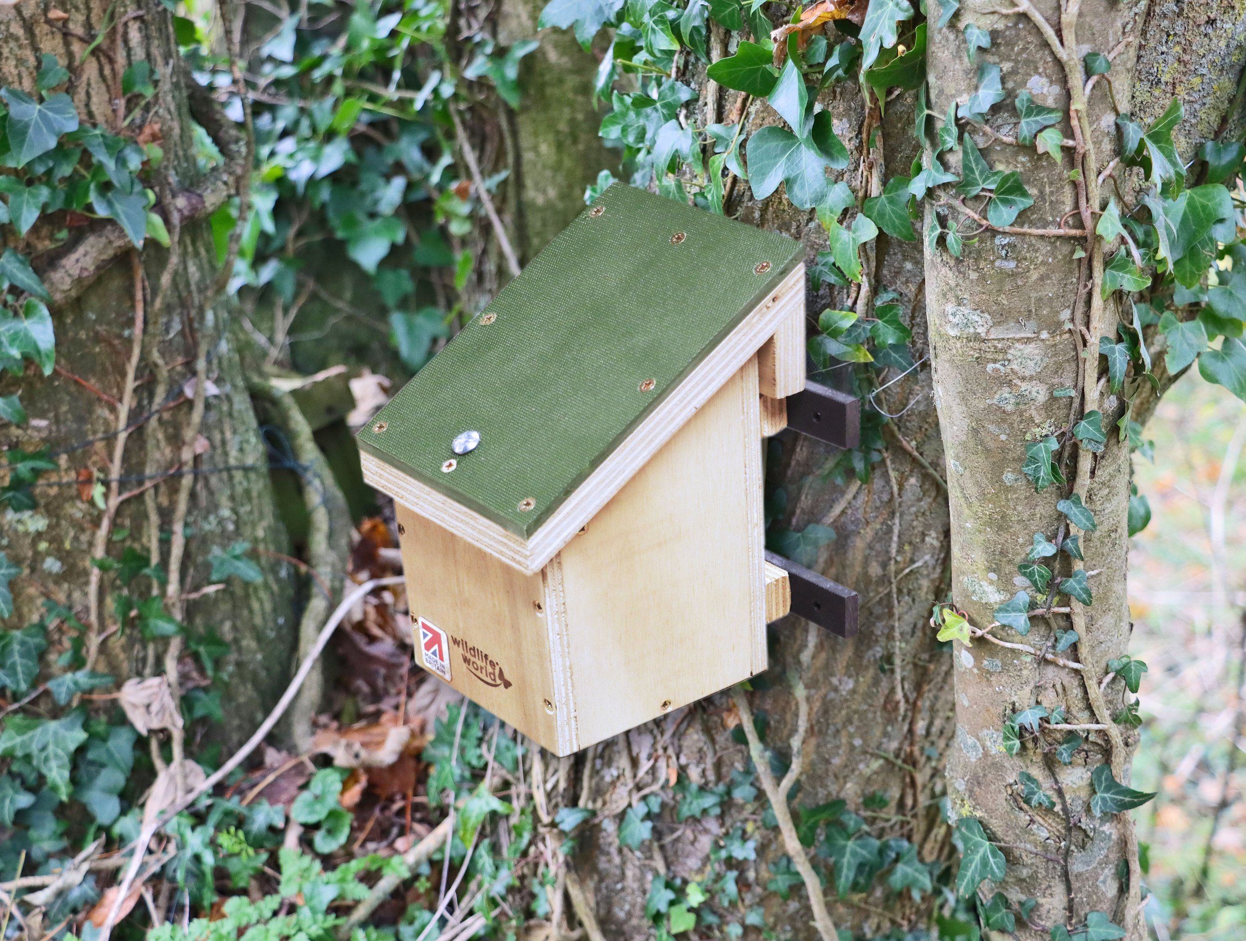 ARX Dormouse / Mini-mammal House