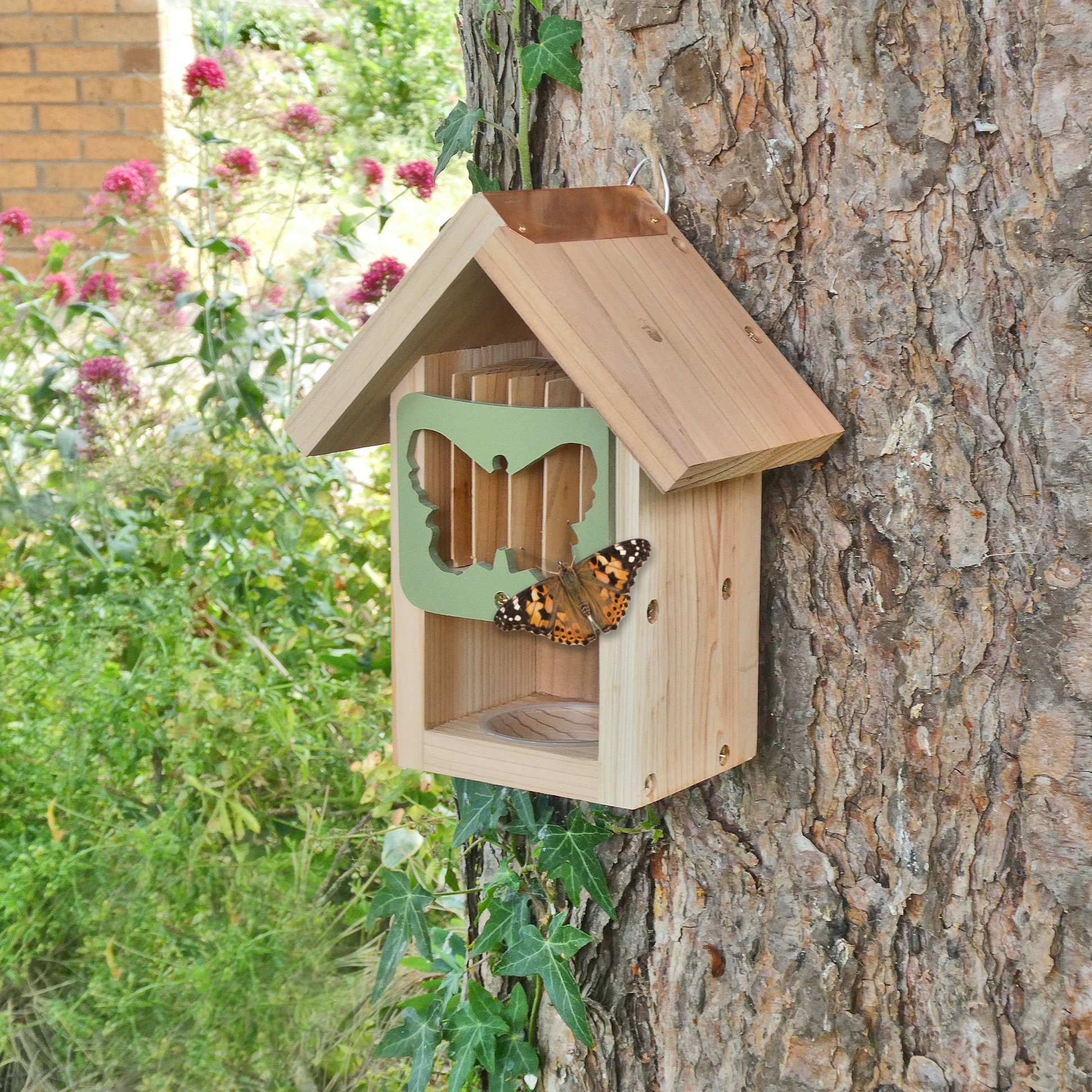 Butterfly Barn