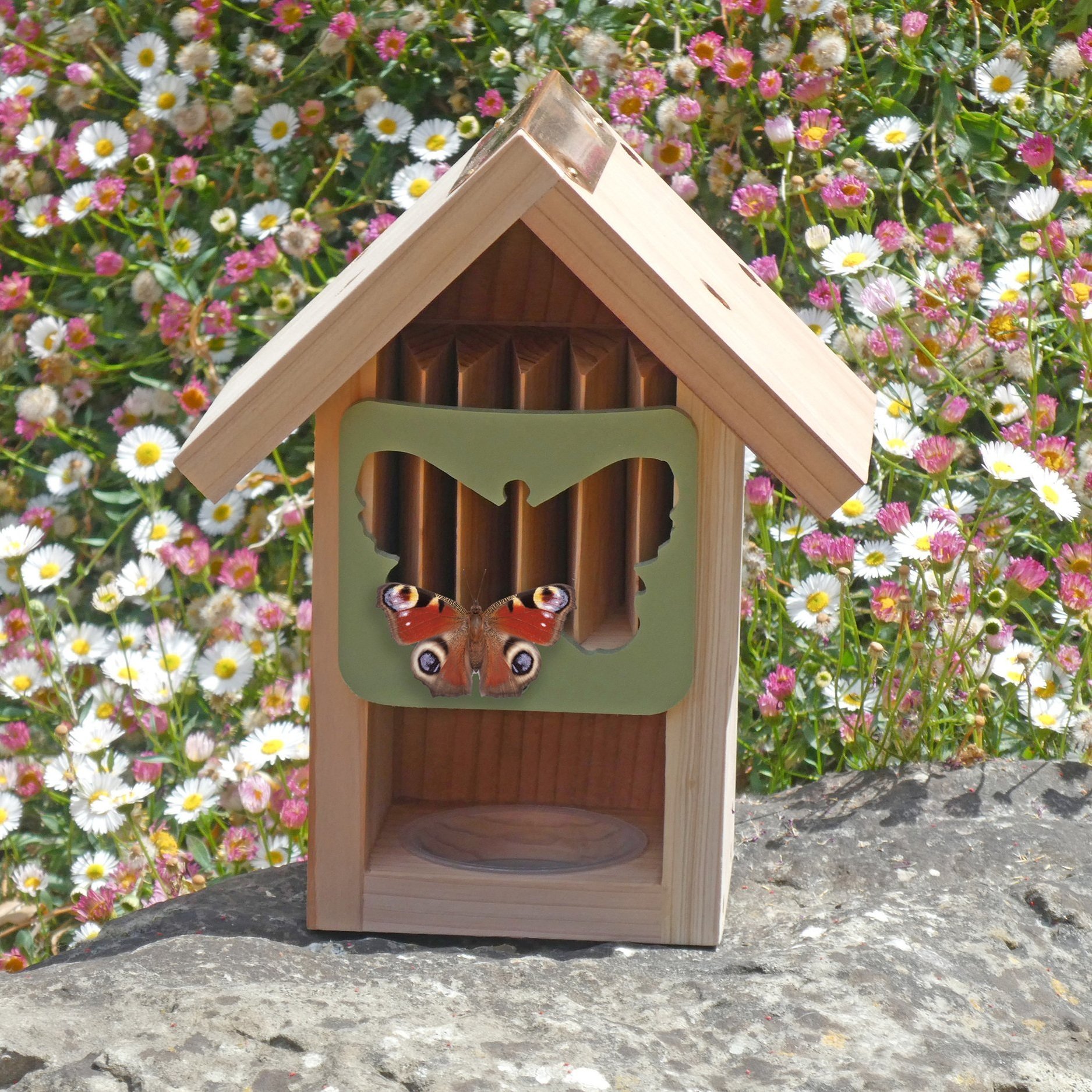 Butterfly+Barn+with+Peacock+Butterfly.jpg