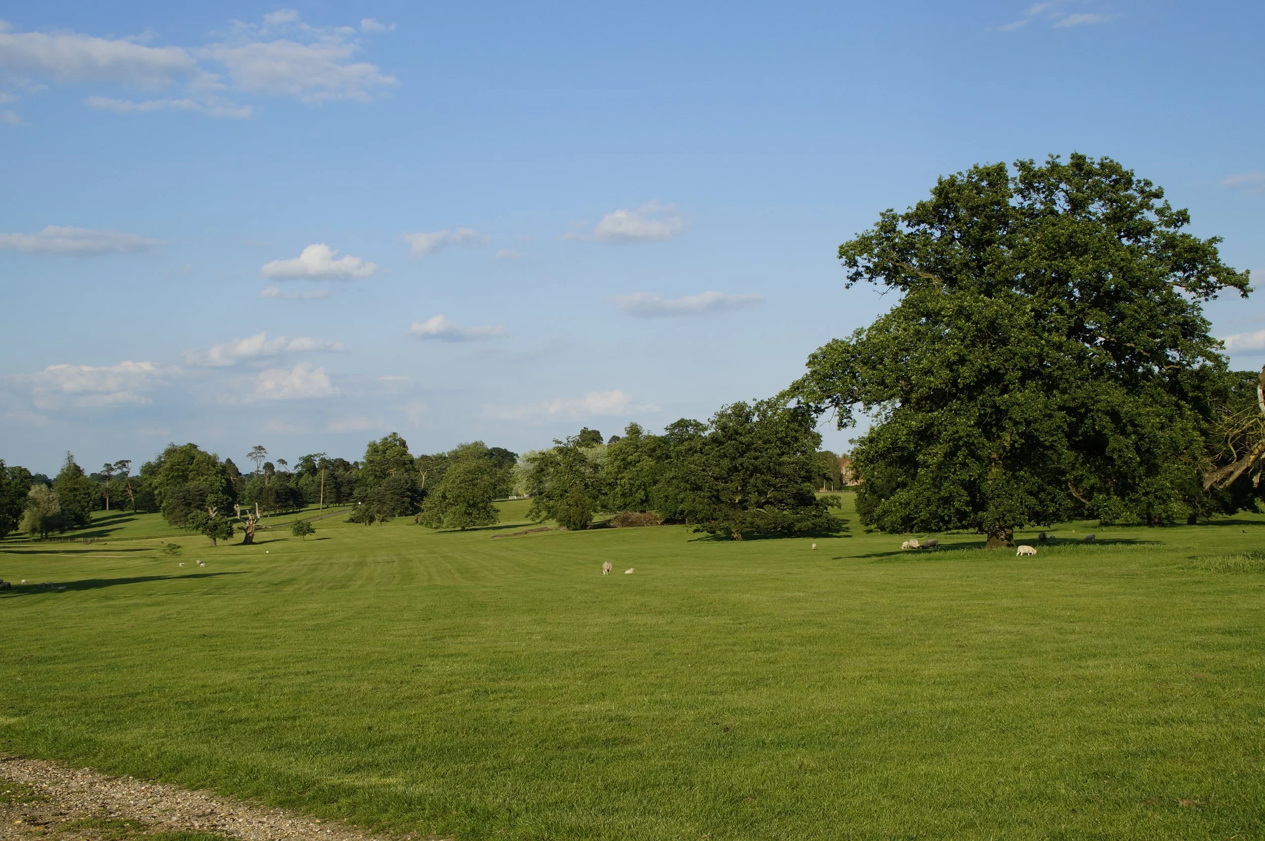 Annual Regional Meet & AGM