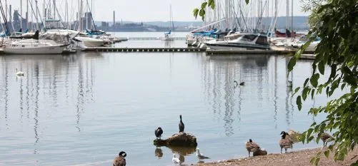 Cost of new floating wavebreak at LaSalle Park Marina paid 100% out of city's Hydro Reserve fund