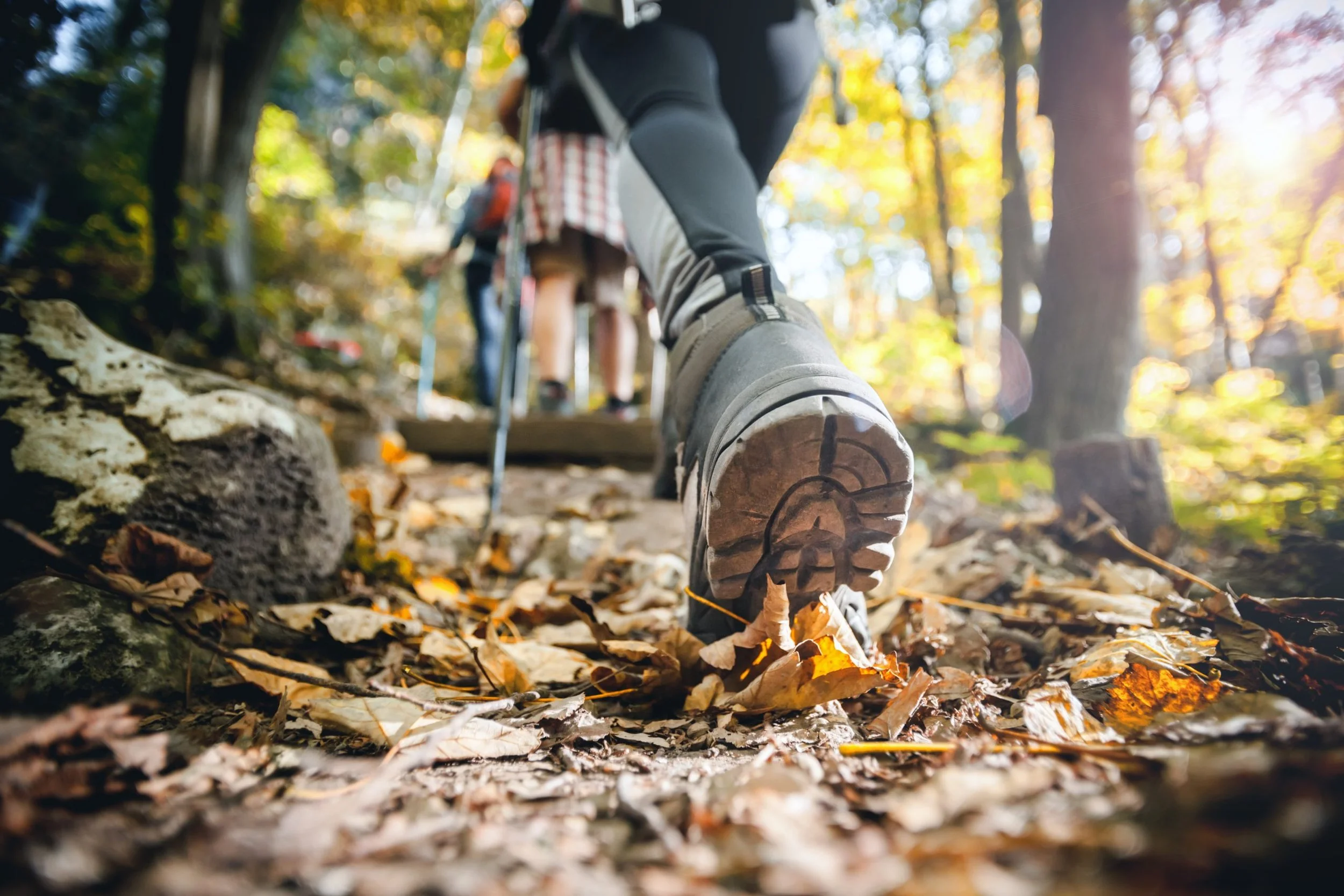 New Trail Funding to Enhance Burlington's Natural Beauty and Accessibility