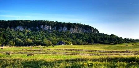 Our choices aren’t just “tall” or “sprawl” - how we can find ways to accommodate population growth in Halton