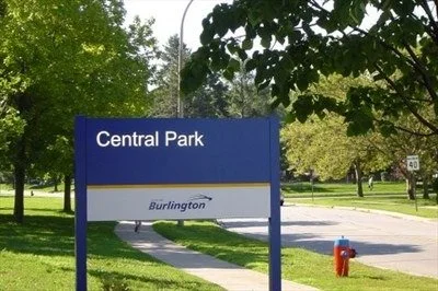 Central Park - Leash free times for dogs