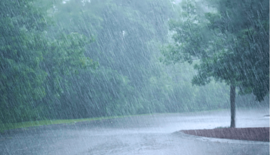 Province Activates Disaster Recovery Assistance to Support Residents in Burlington 