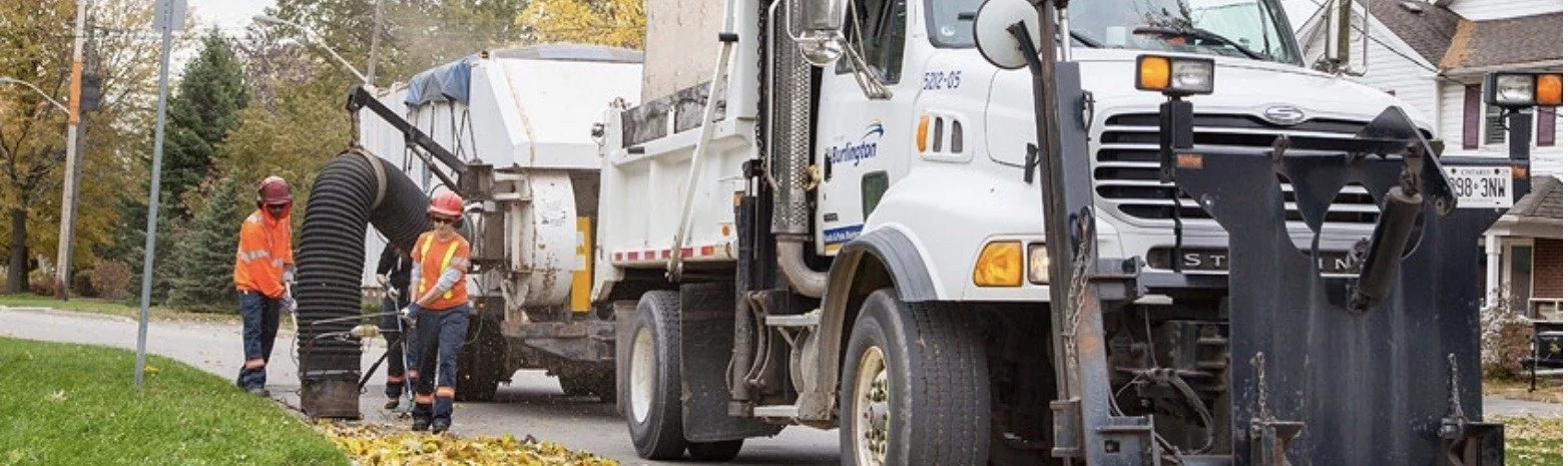 Statement from Burlington Mayor Meed Ward Regarding an Update on Leaf Collection Program