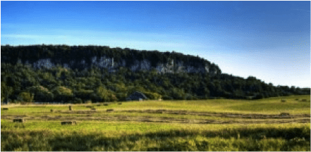 We stand firm in our commitment to protecting our greenbelt