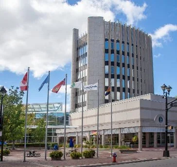 What happened at two meetings Burlington Mayor Marianne Meed Ward attended related to Ontario's review of Regional Government?