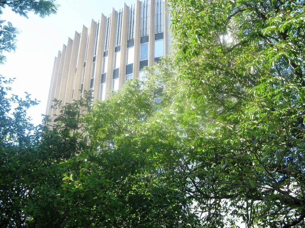burlingtoncityhall-2.jpg