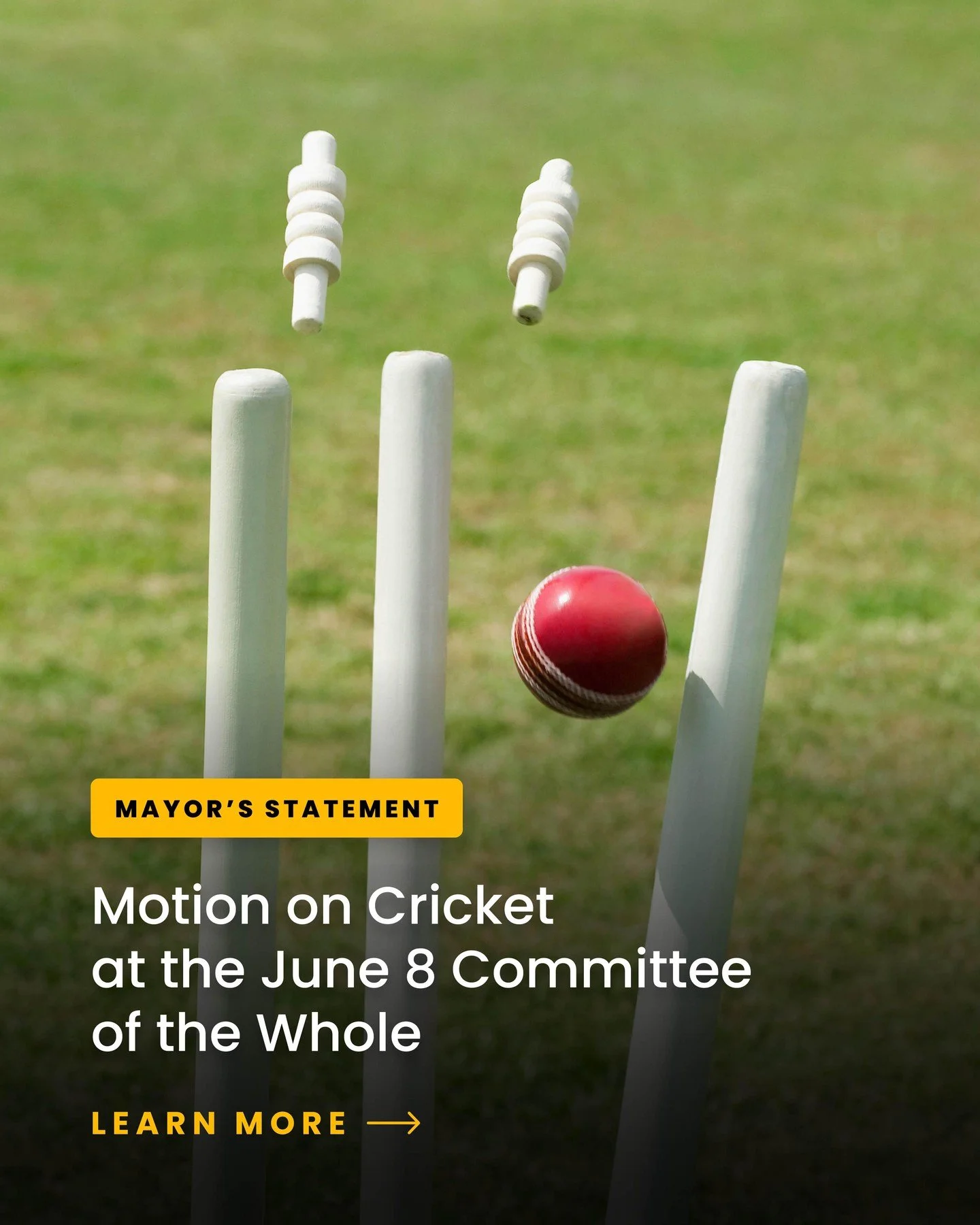 Please see my statement regarding your inquiries about cricket in Burlington. 

To read the full motion: 
https://burlingtonpublishing.escribemeetings.com/filestream.ashx?DocumentId=96675

To register to delegate: www.burlington.ca/delegate