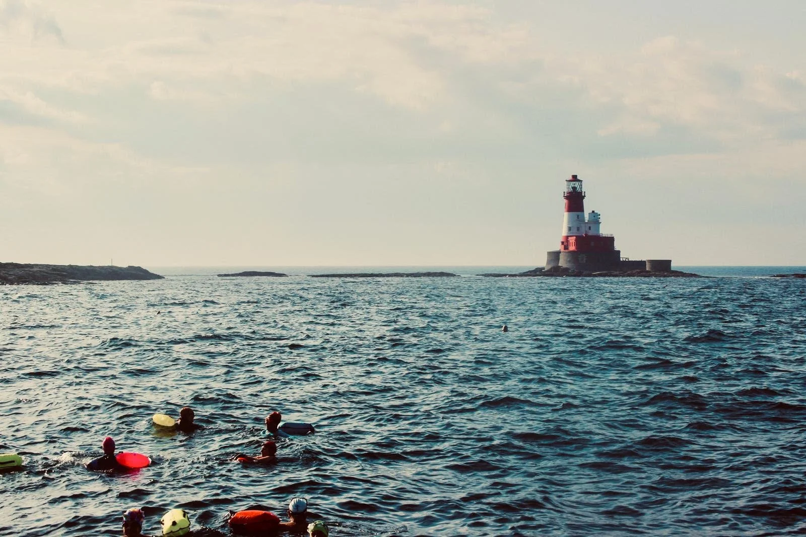 Farne Island Adventure - 5th July