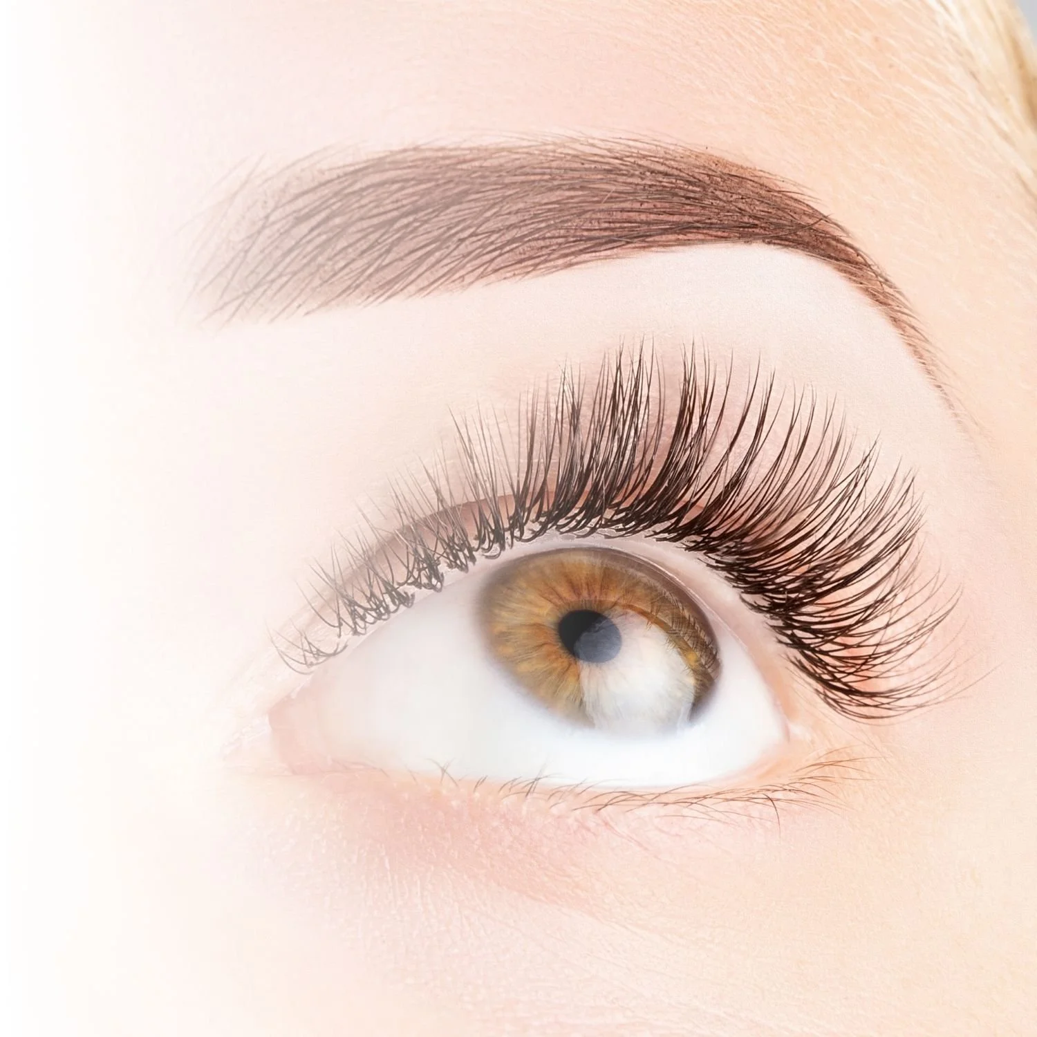 Close-up of an eye with long eyelashes and well-groomed eyebrow on light background.
