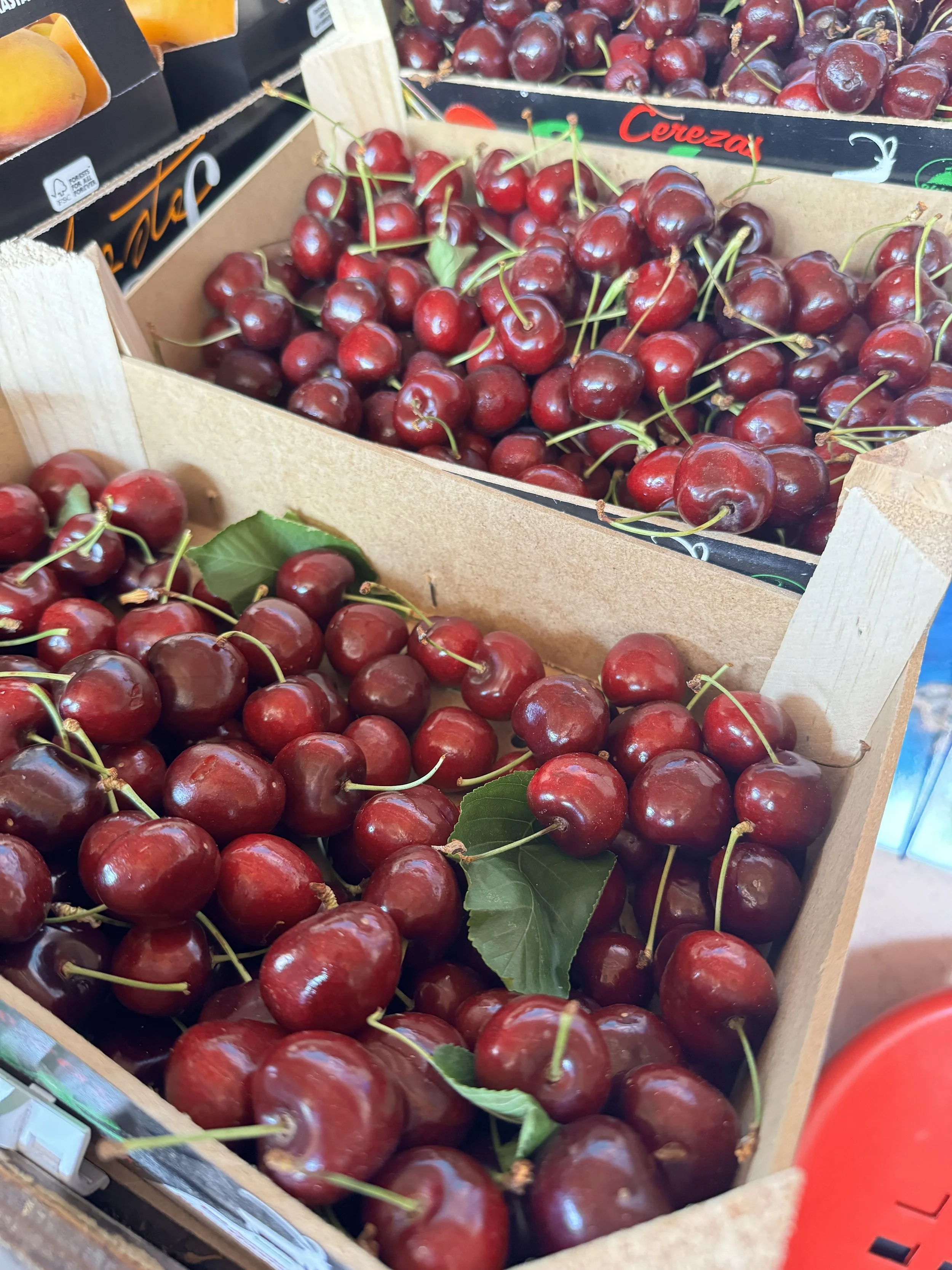 Boxes of fresh red cherries at a grocery store.