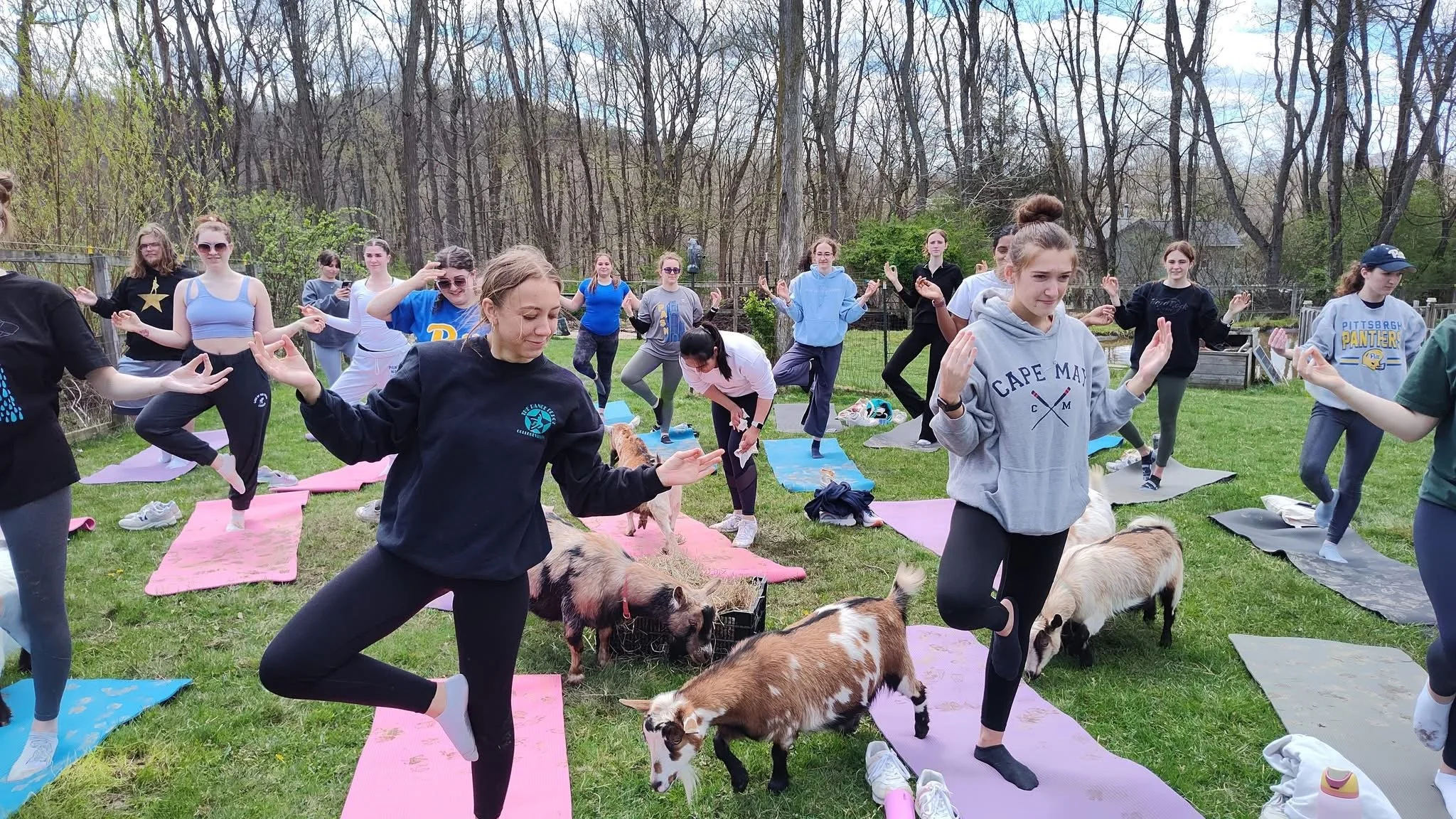 Yoga With Goats: YogaNuvo Flow 